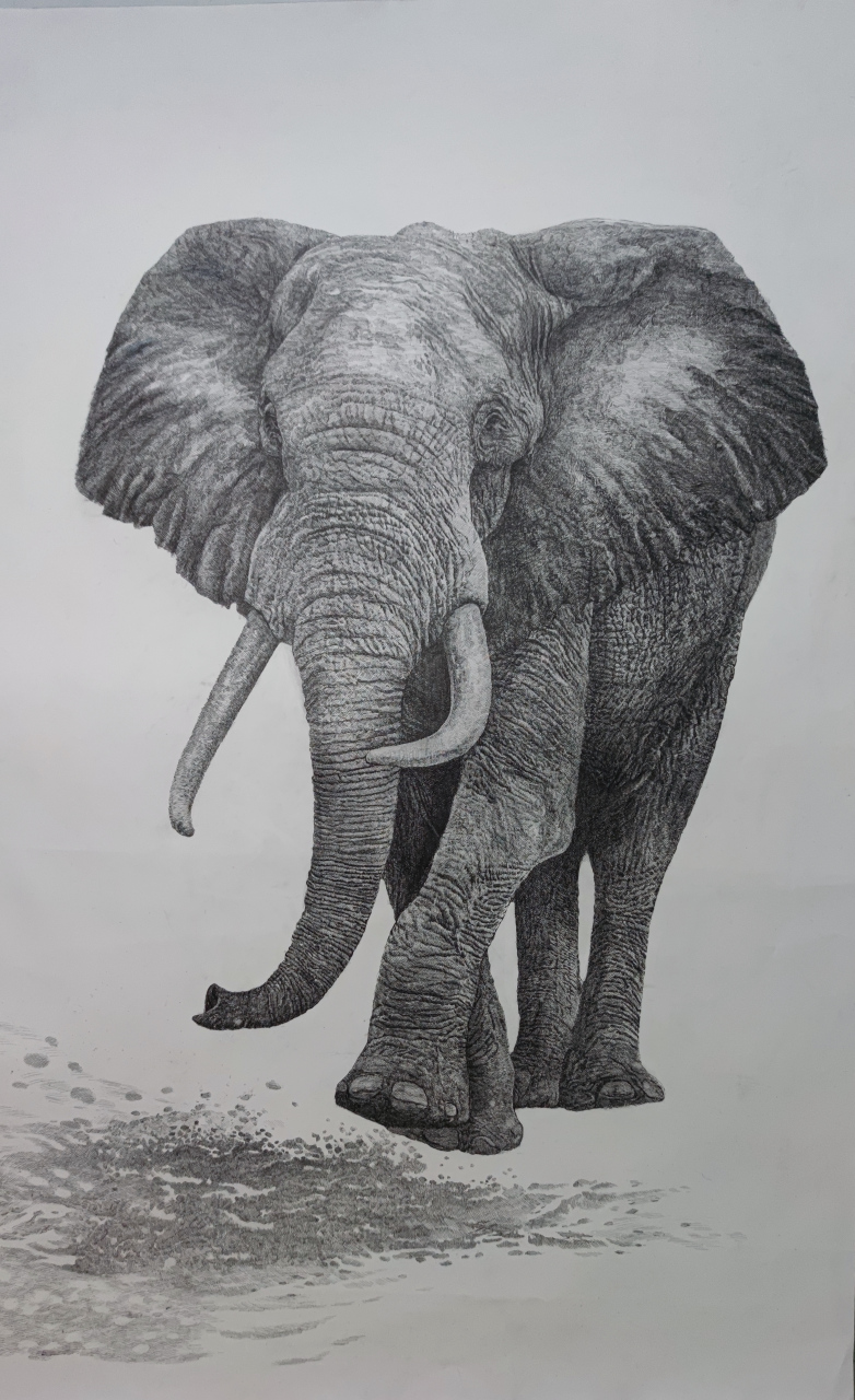 新钢笔画大象《大踏步》160cmx110cm,《李渝基新钢笔画艺术工作室》鑫