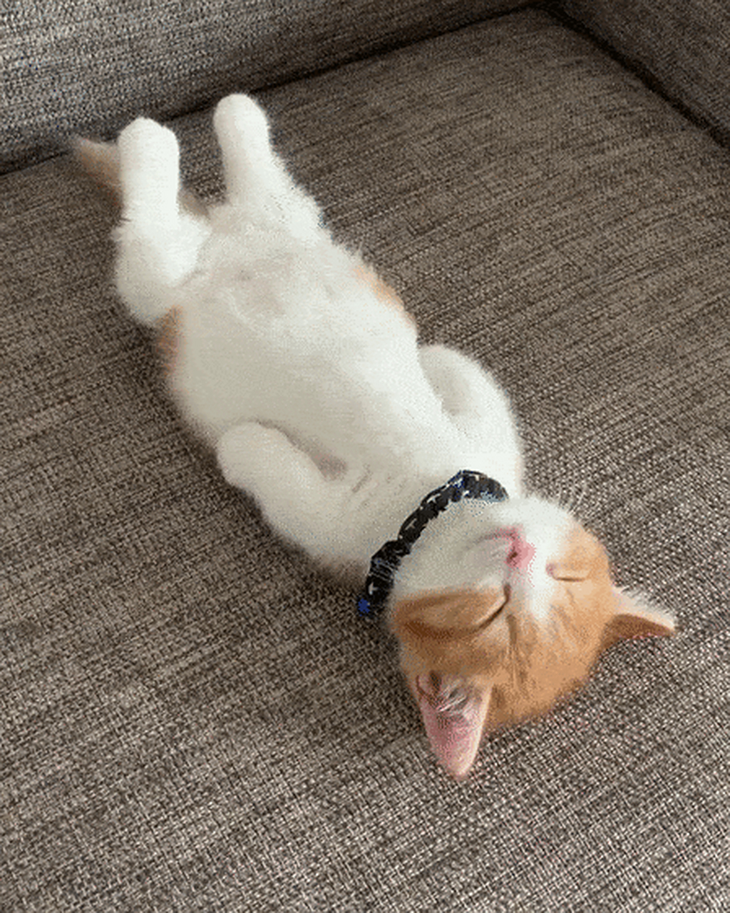 第一次路过此处,让我发个动态,可我一点也不想动咋办?