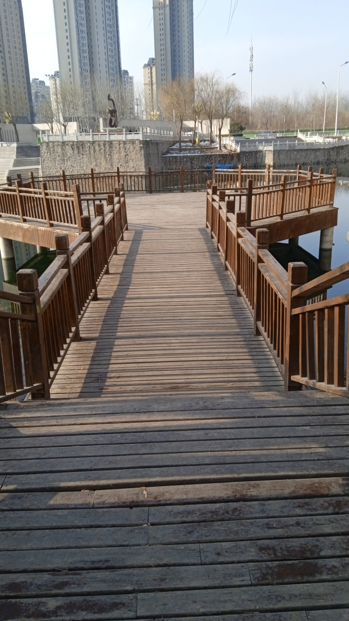 人,总是在不懂的年纪作出选择,在懂的年纪承担着后果