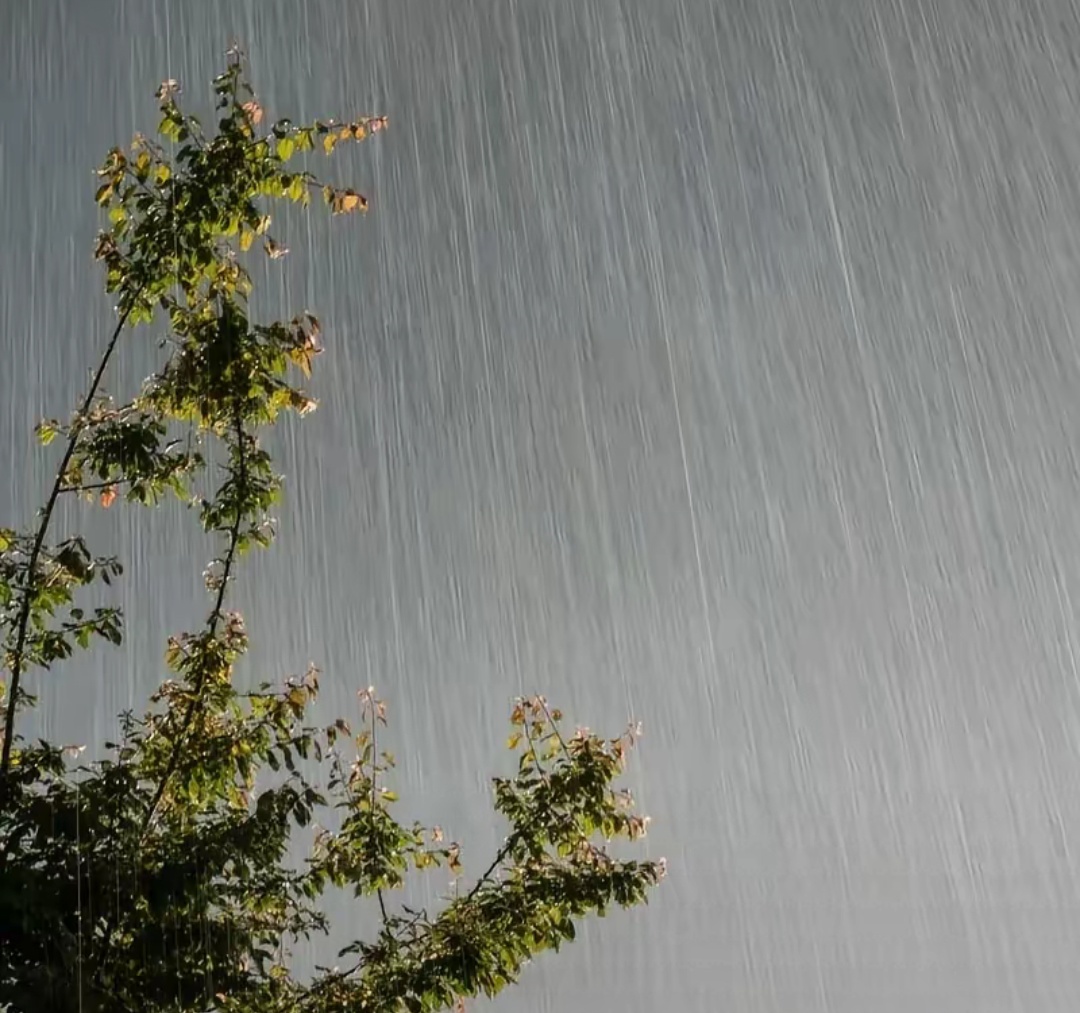 昨天我发小找我诉苦,他不嫖不赌,因为是公务员,丢饭碗的事情不敢搞