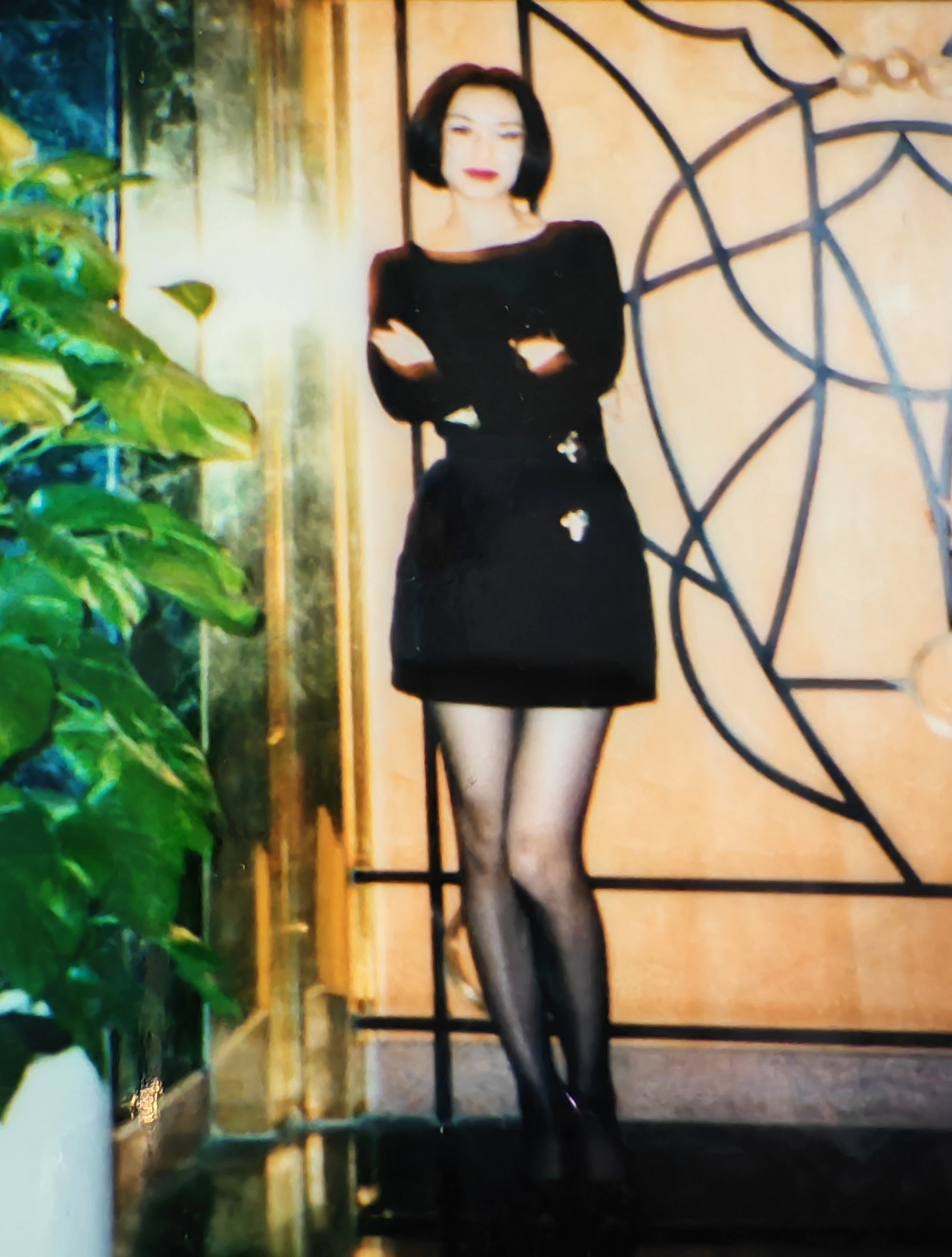 译阳读书 【九四姐姐深圳工作】