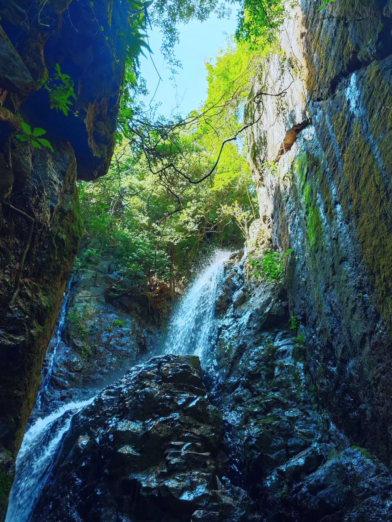 特别是石岩入口那条溯溪路线