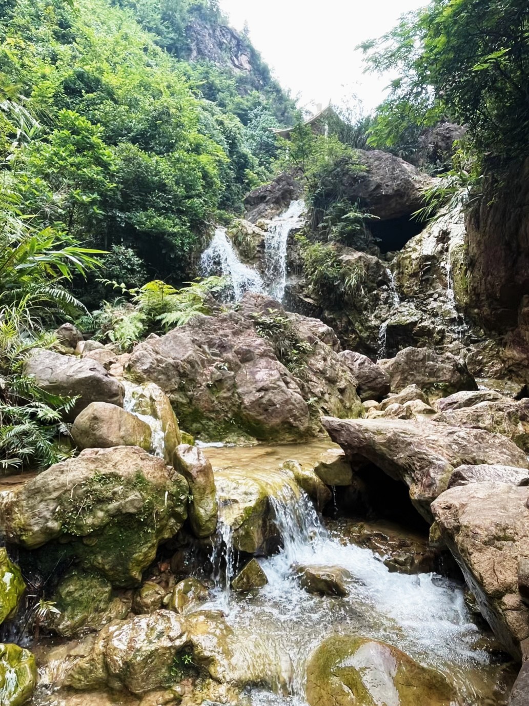 佛山南海湾森林公园图片