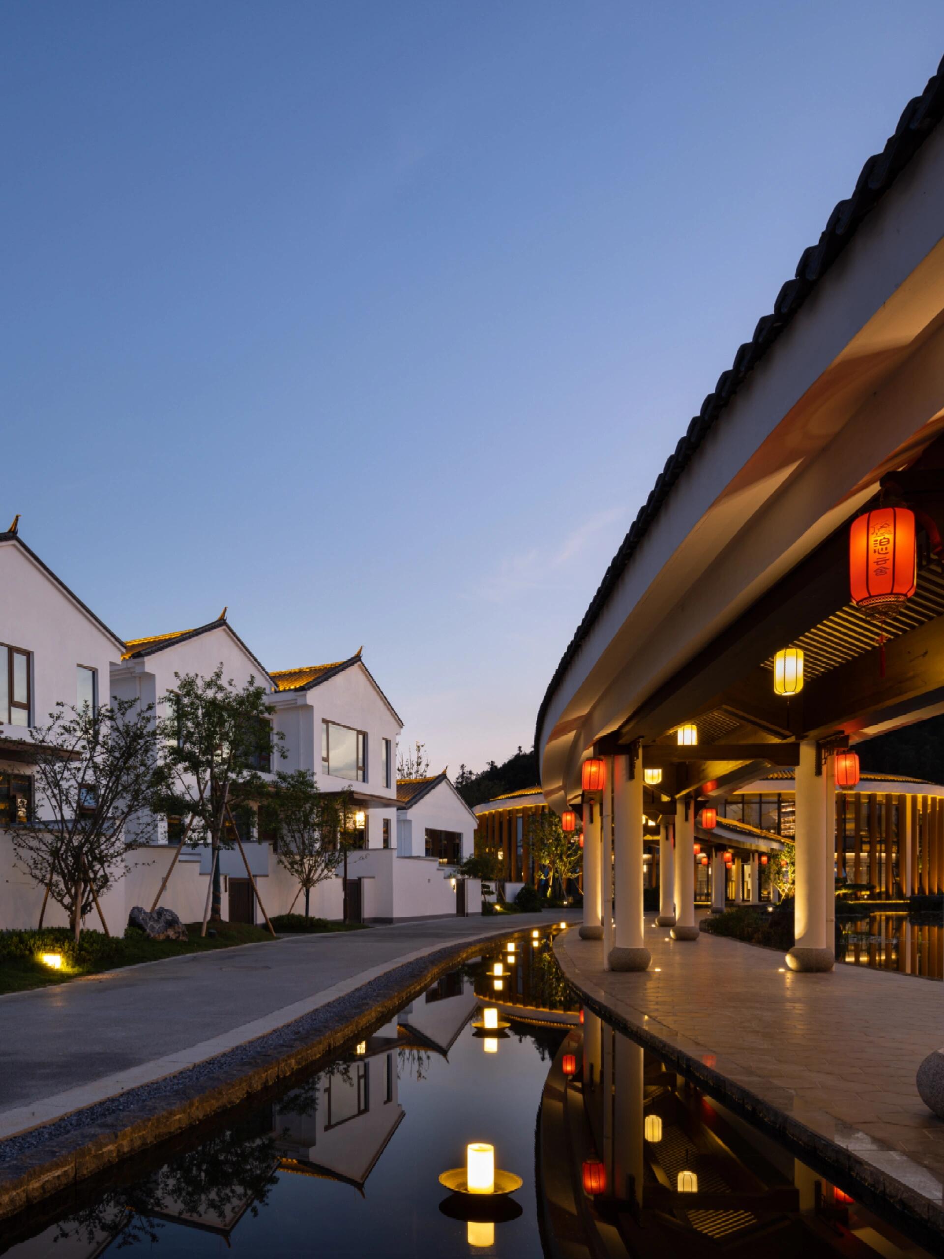 换个角度看世界#镜头里,有那使劲儿挣扎向上长的