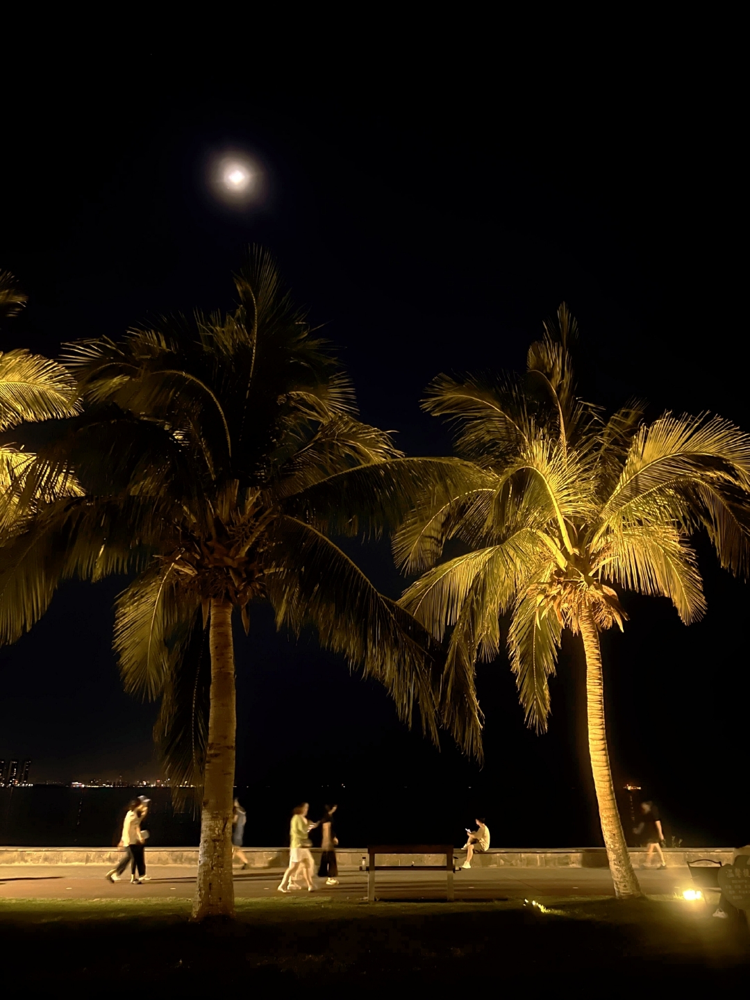晚上图片海南夜间明月椰林海的风景照片三亚海边晚上图片夜游三亚湾