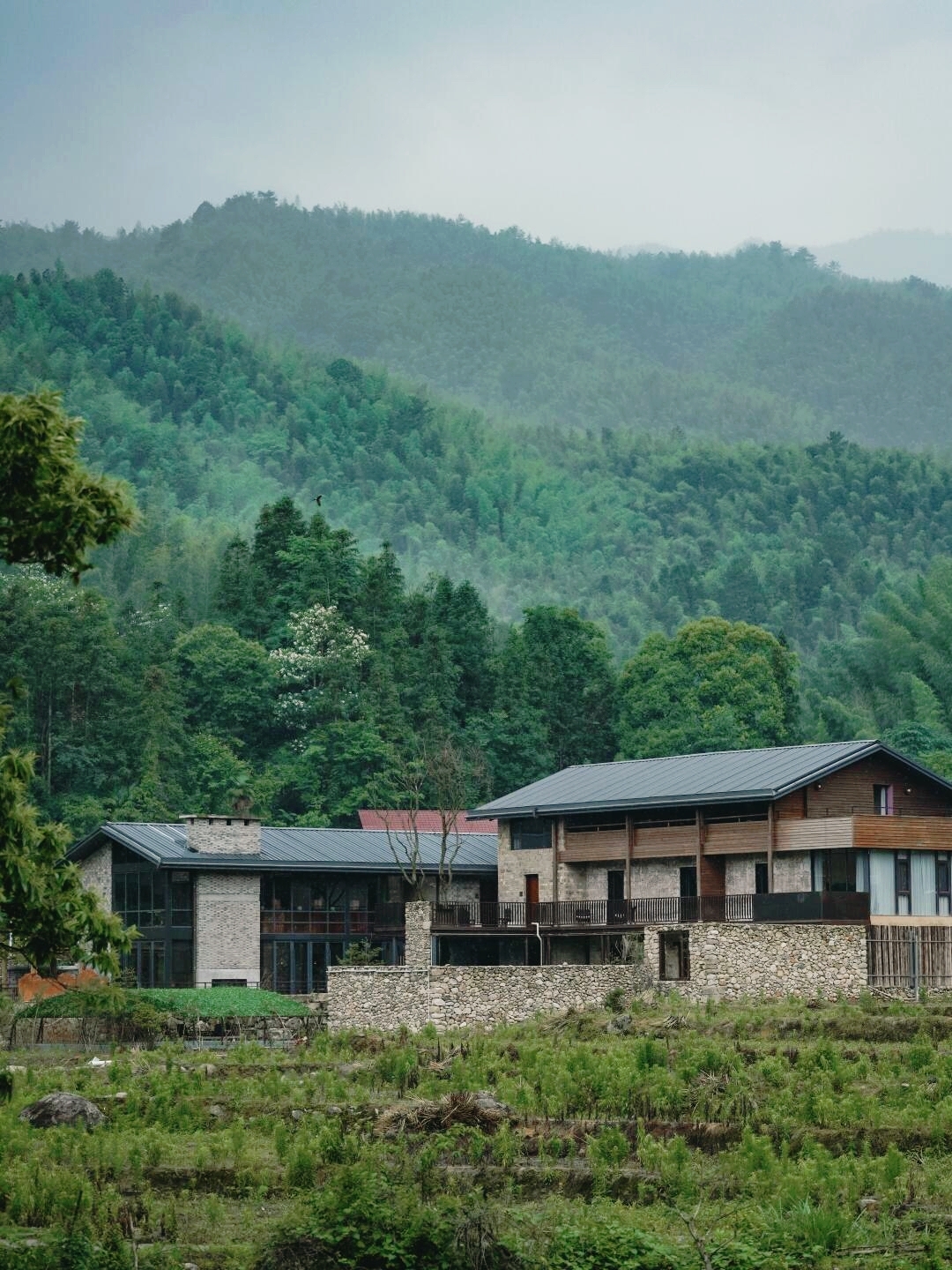 这儿的民宿超有特色,8间房悬于梯田云海之上,loft房型加全景落地窗