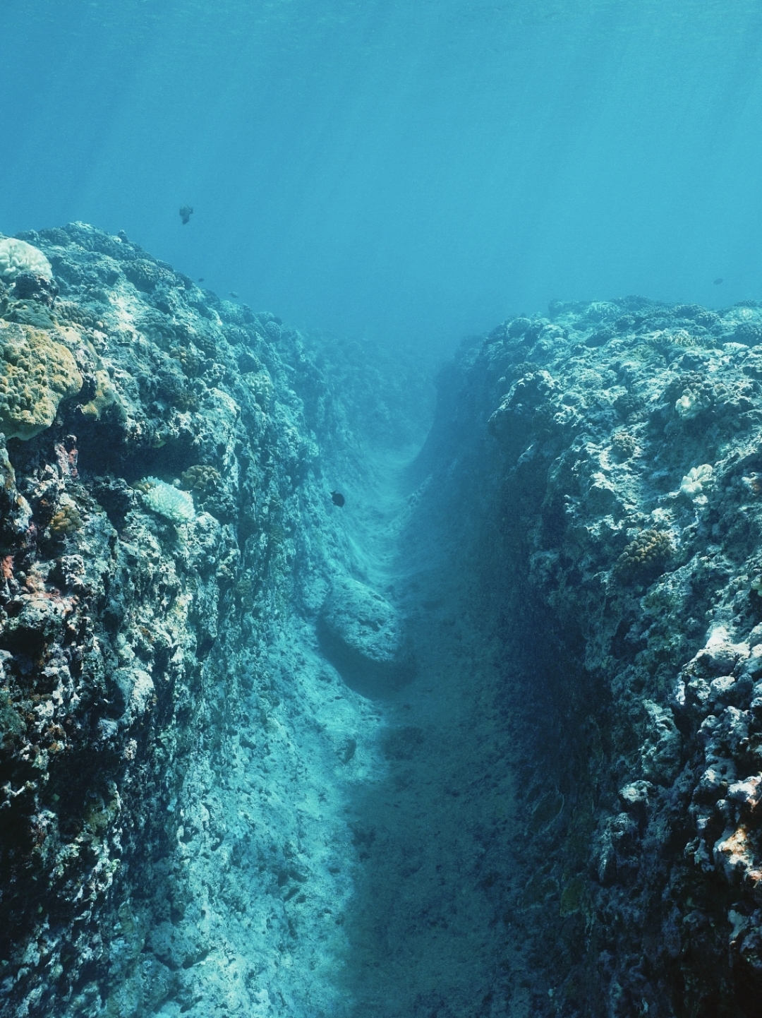 海沟马里亚纳海沟图片