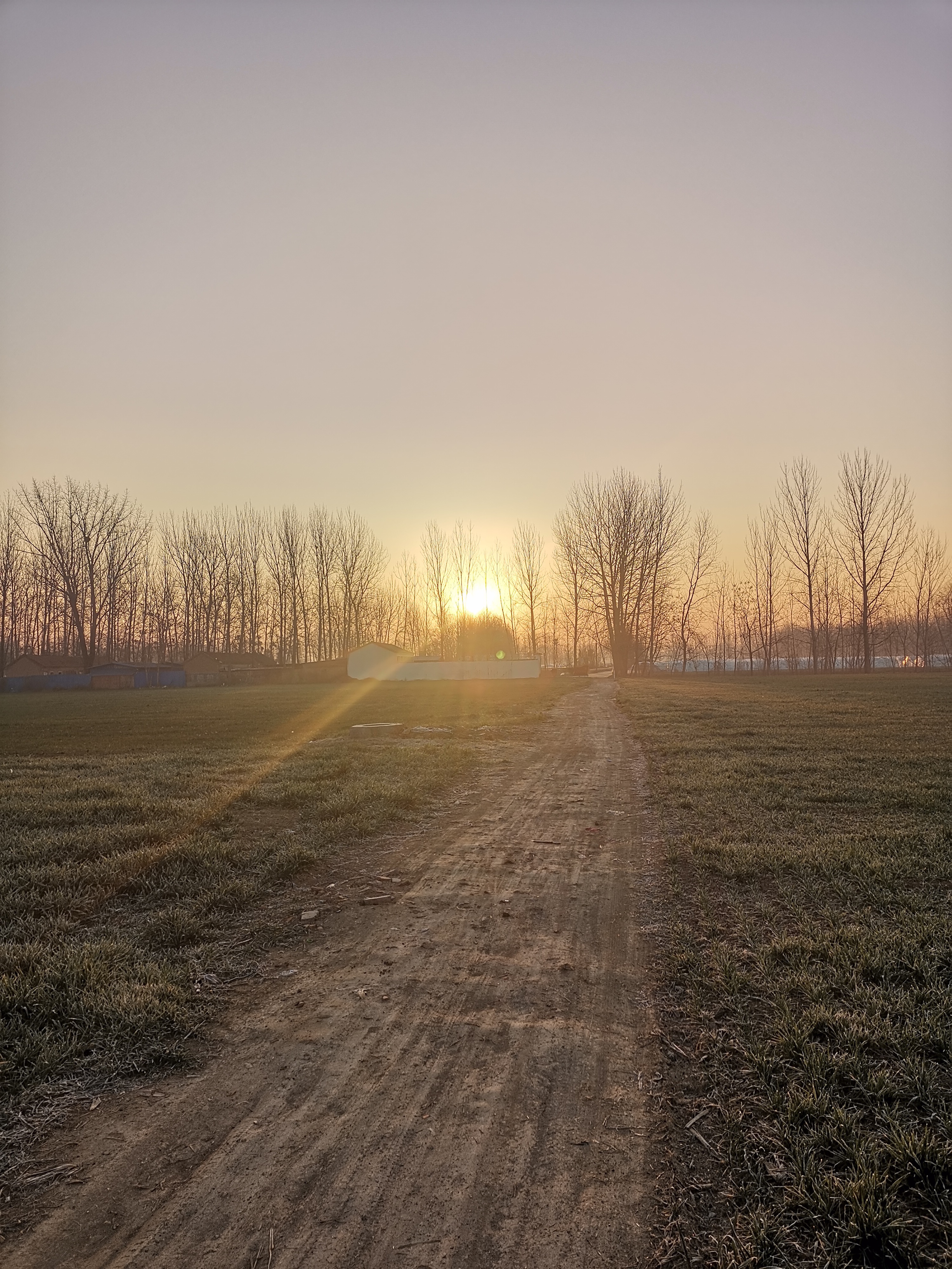 大平原的日出也很美
