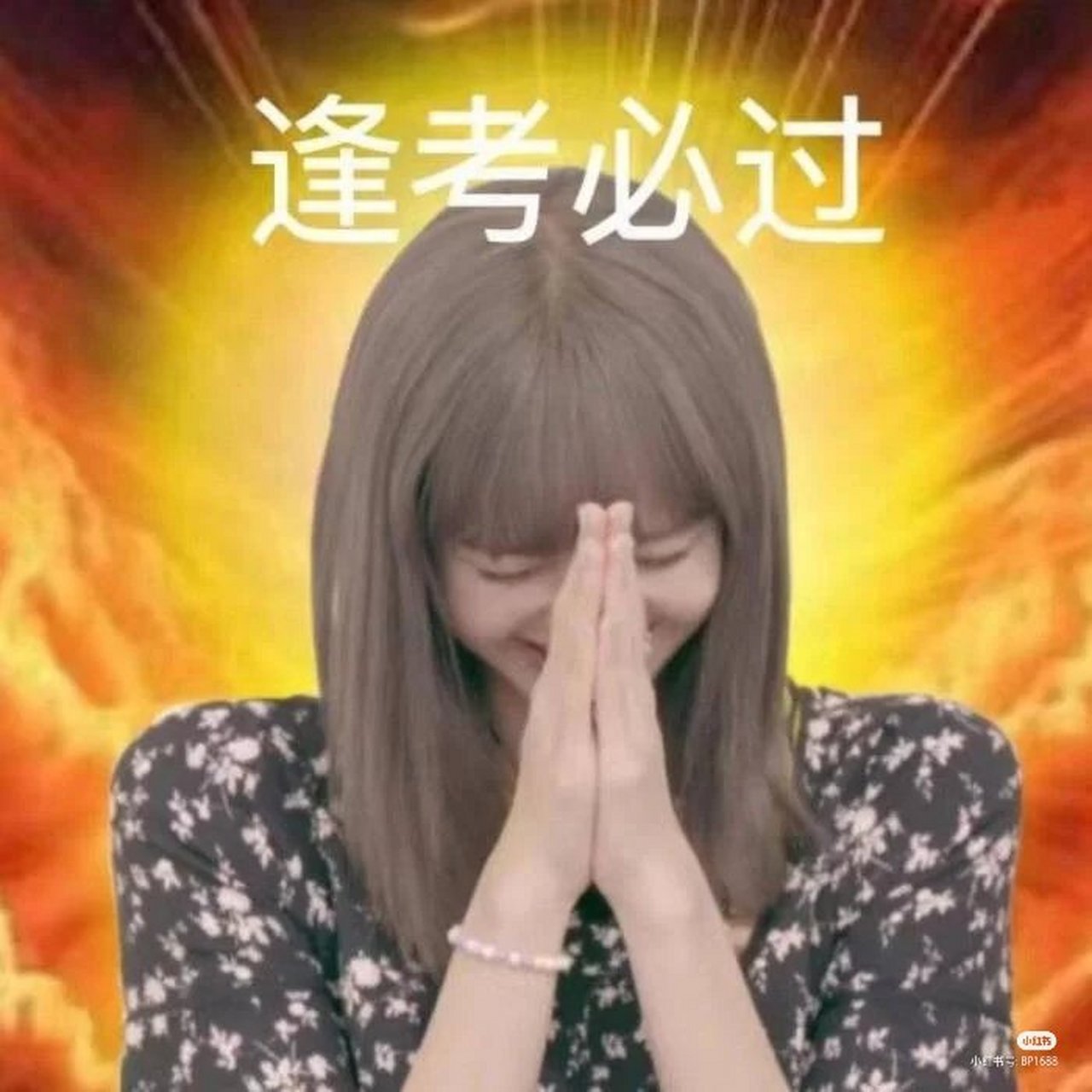 lisa表情包