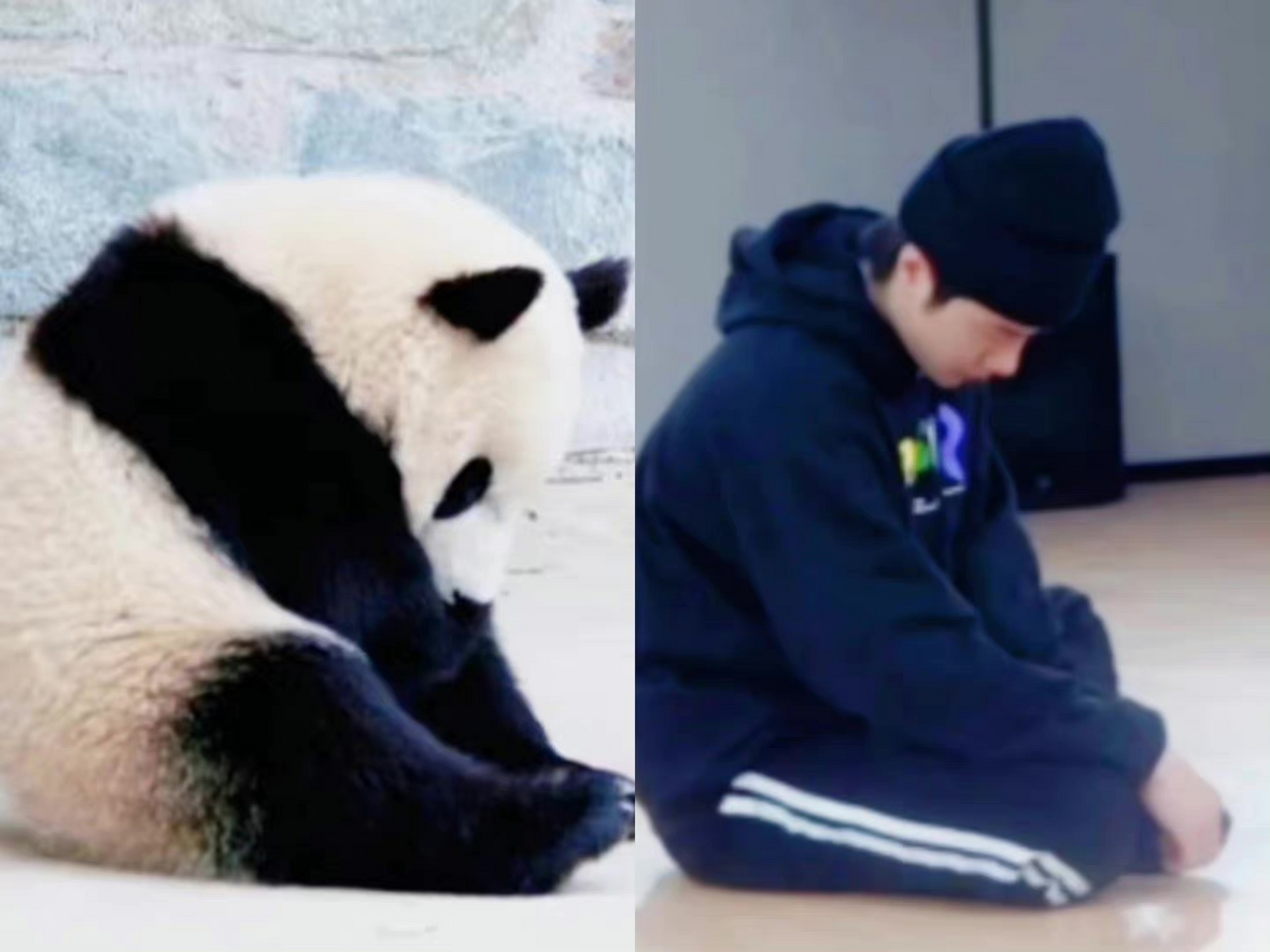 还真的挺像的呢,都这么可爱#王一博