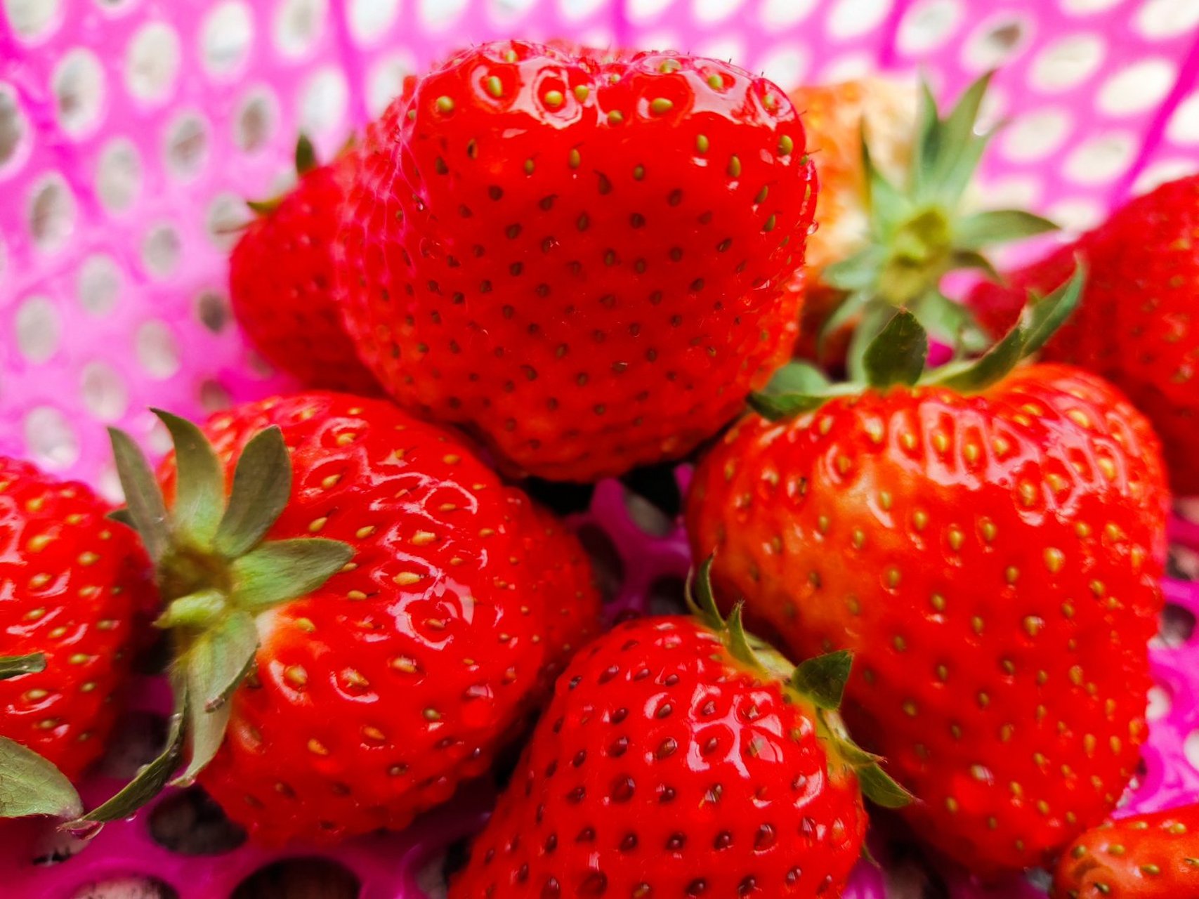 来领抖音推荐《乔装》许宗政宋乔by艾恳全文阅读《乔装》许宗政宋乔by