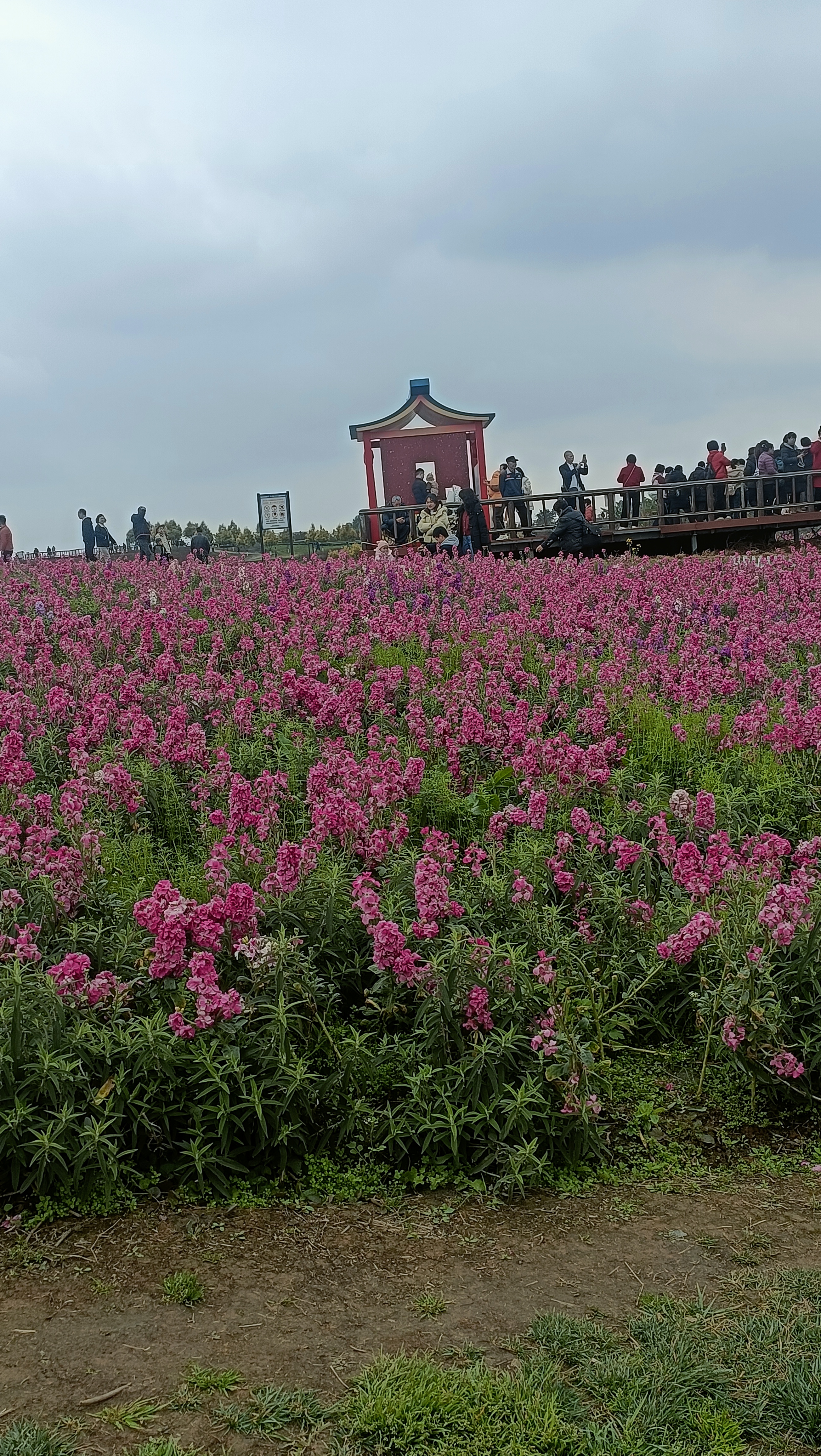 那种光是柔和的,足以控制自身的情绪