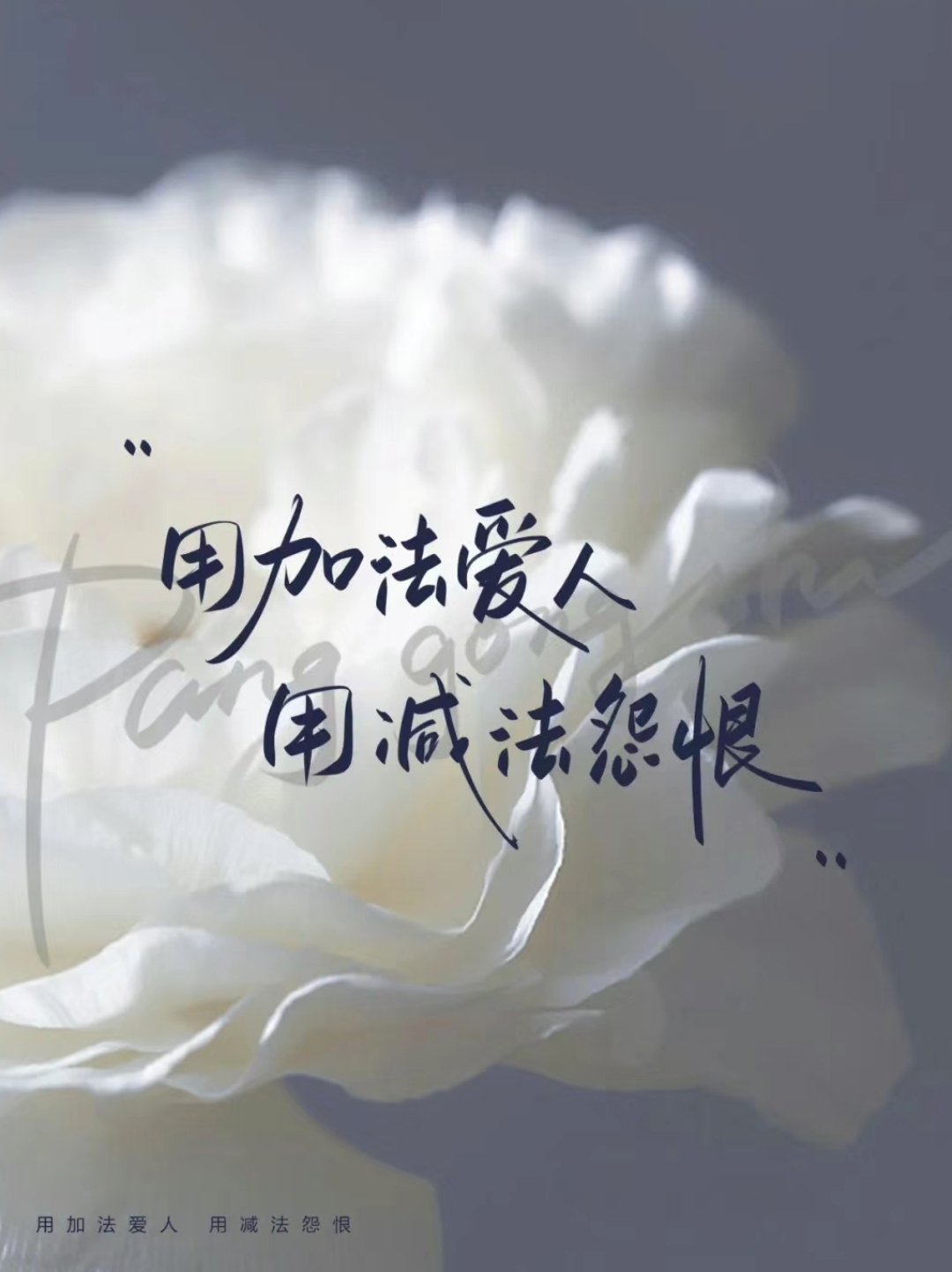 父王,您真是煞费苦心了呀!