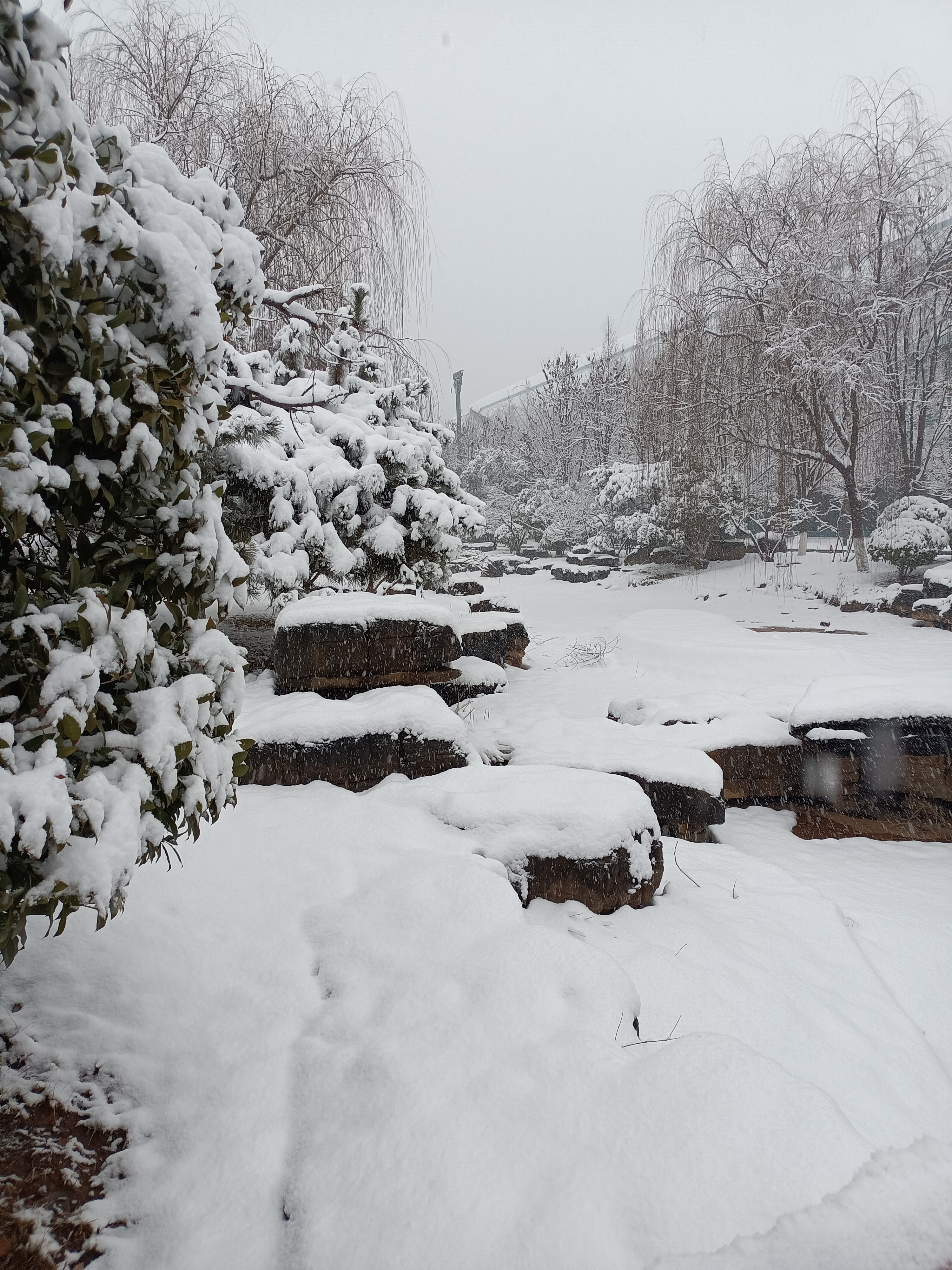 下雪 真实 实景图片