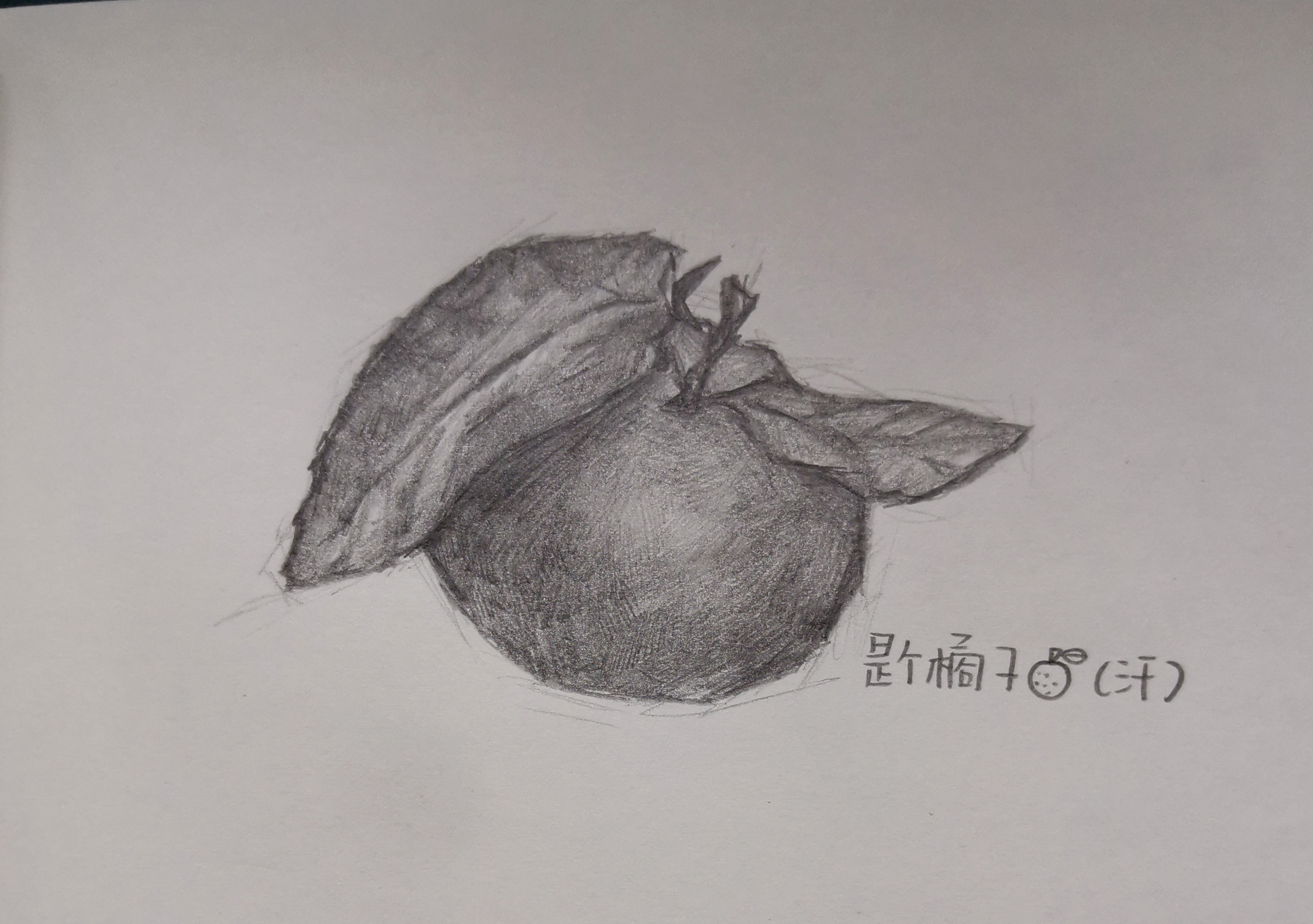 这是……橘子? ※自己看了自己迷惑 #绘画