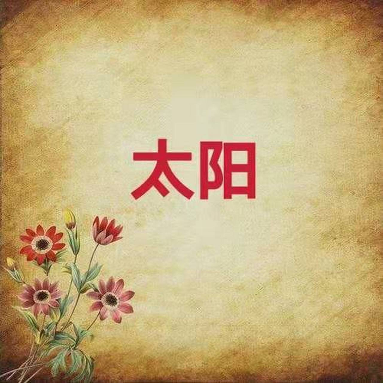 太阳在午宫入命,英星入庙,当兵最少团长以上.