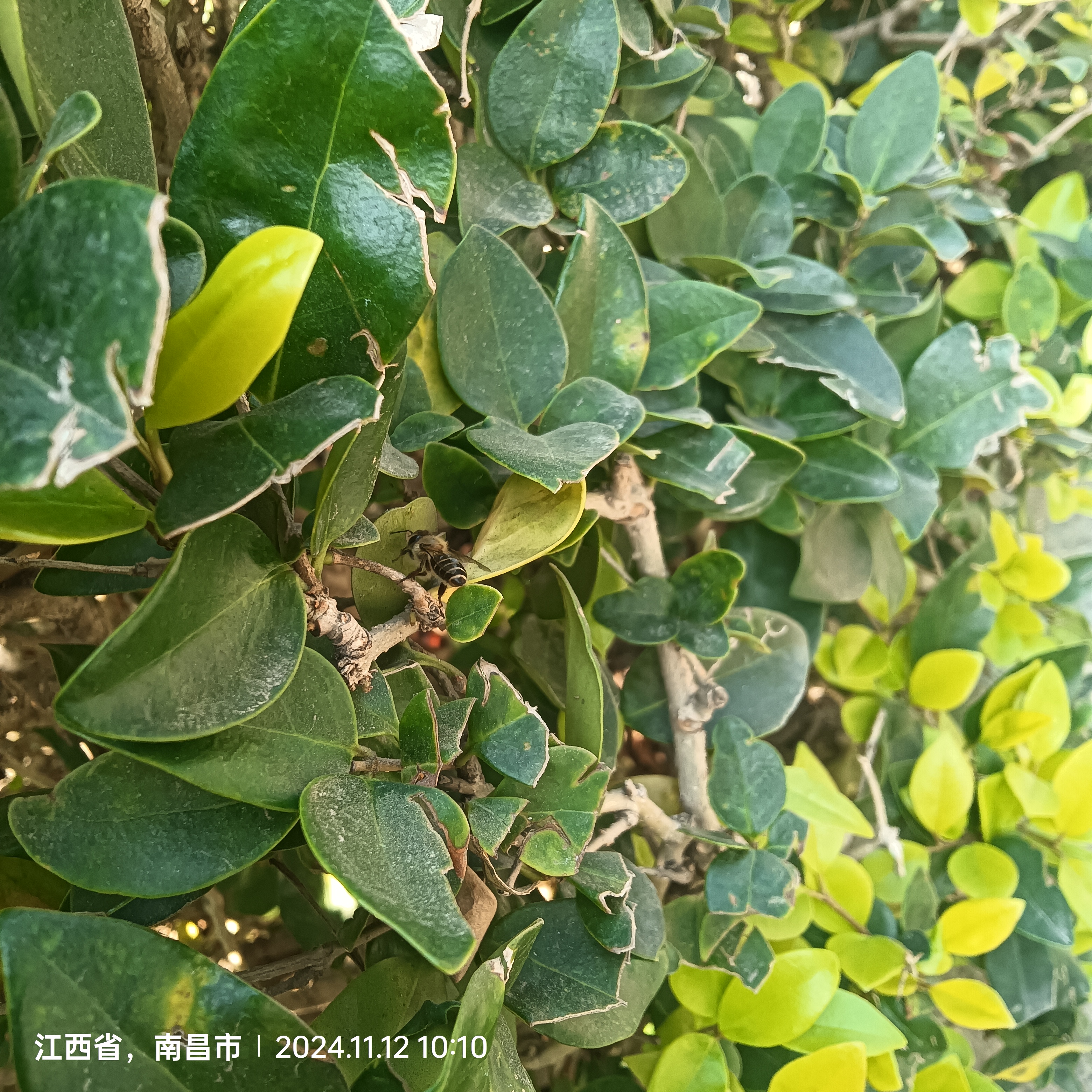 我也是勤劳的干饭人,早起做饭的每天,最近剁手有点猛