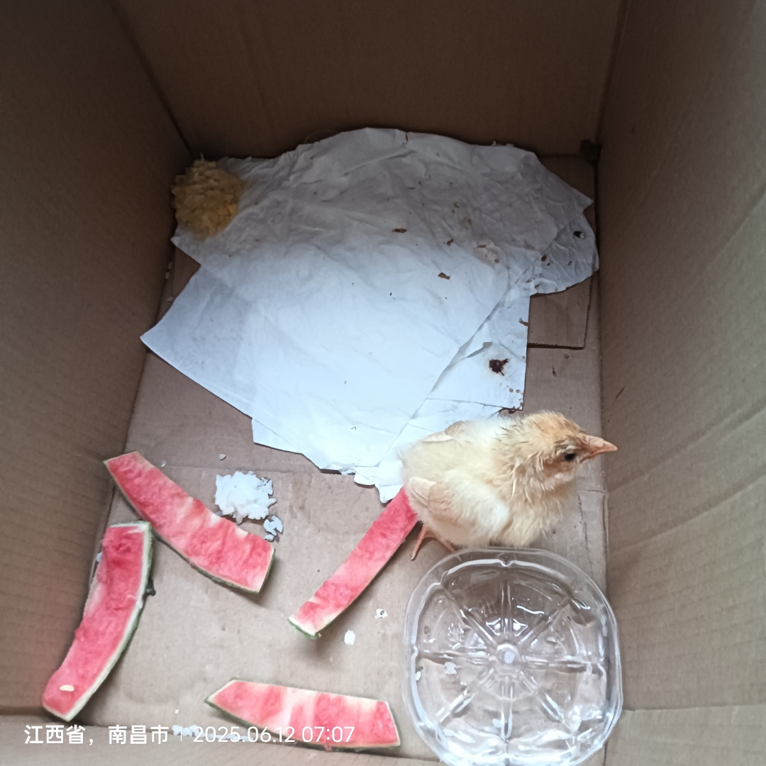 幸福挺简单,知足常乐,永远健康～