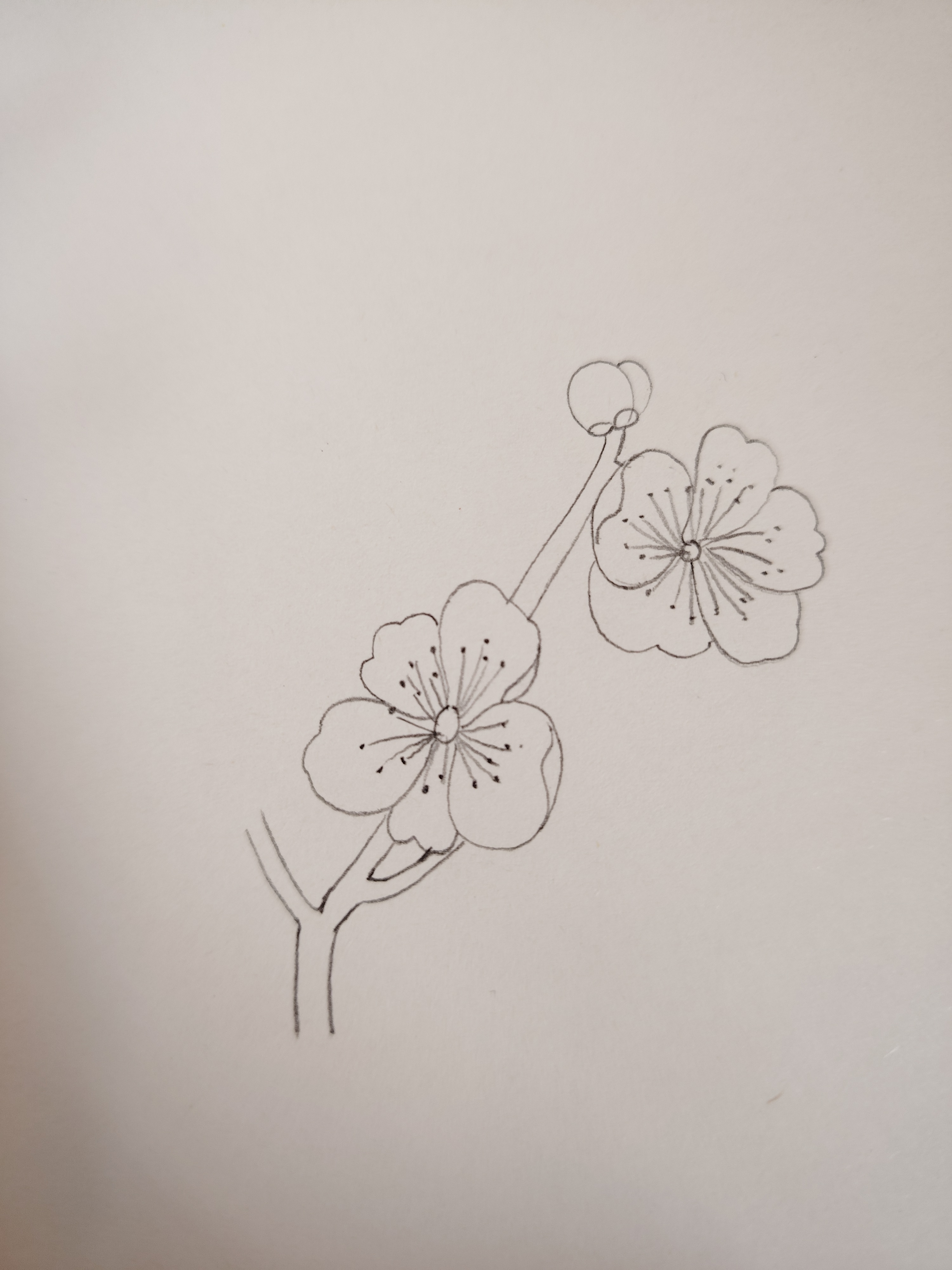 绣花图样