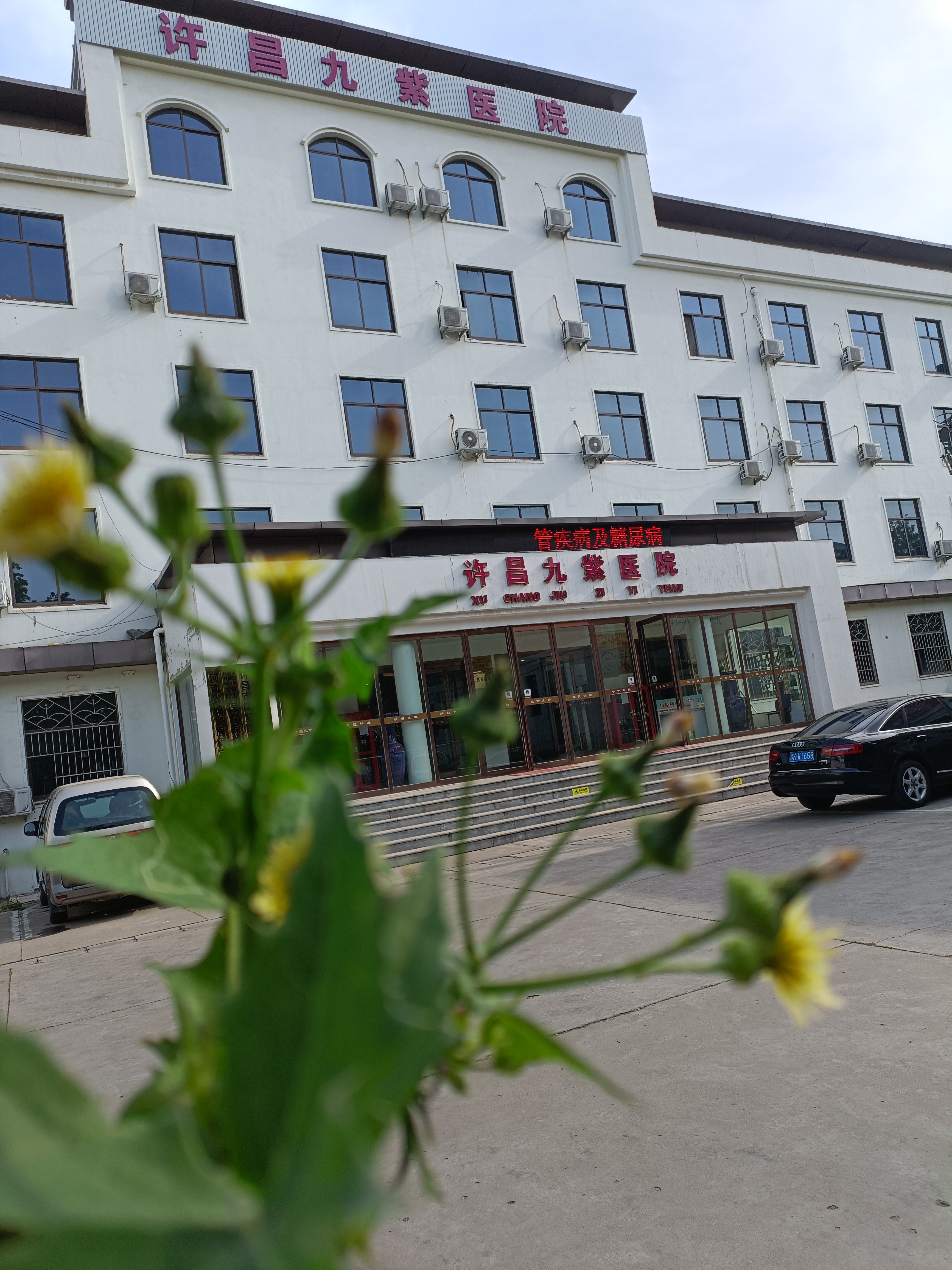 **骨癌晚期被判"死刑",却在绝望中重生