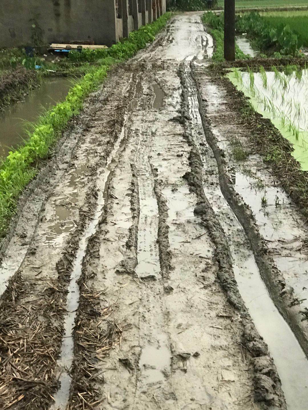 庵东镇海南村图片