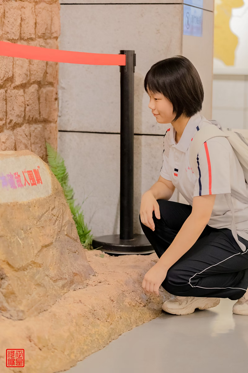 惊飞远映南山碧,诗意风流赋落花