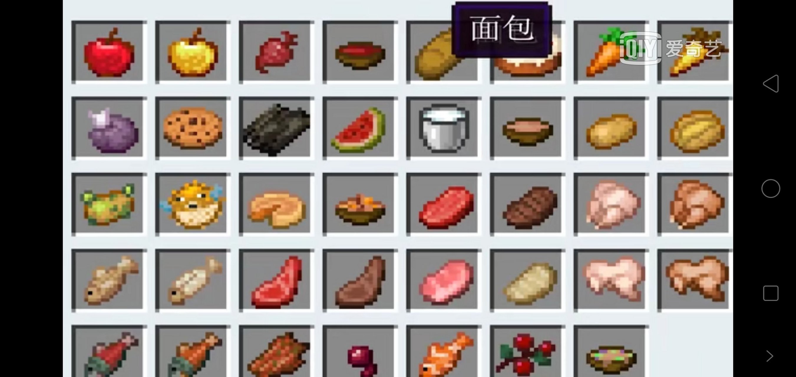 我的世界的所有食物