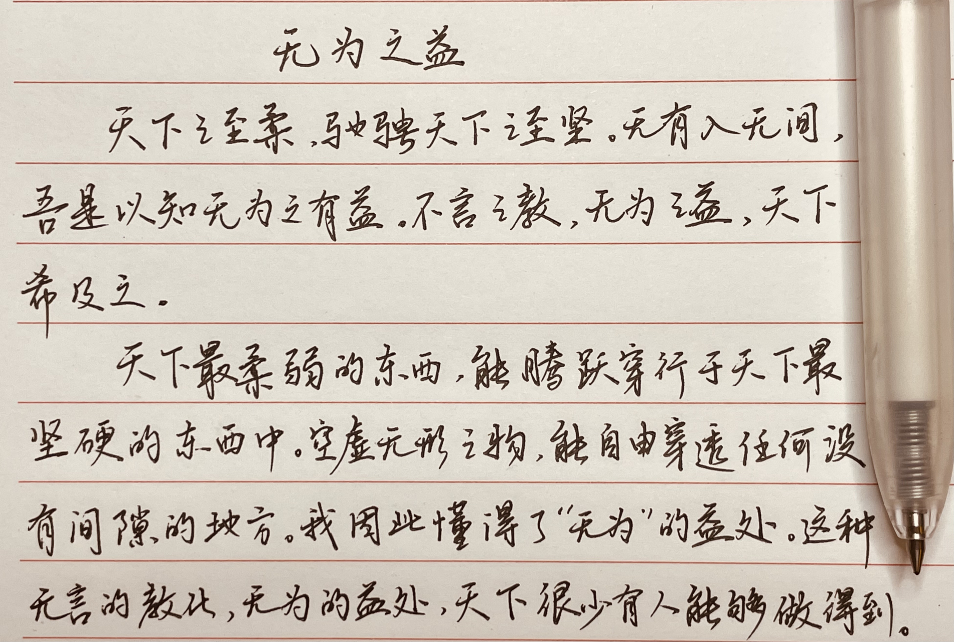 国学经典《无为之益》硬笔行书 天下之至柔,驰骋天下之至坚.