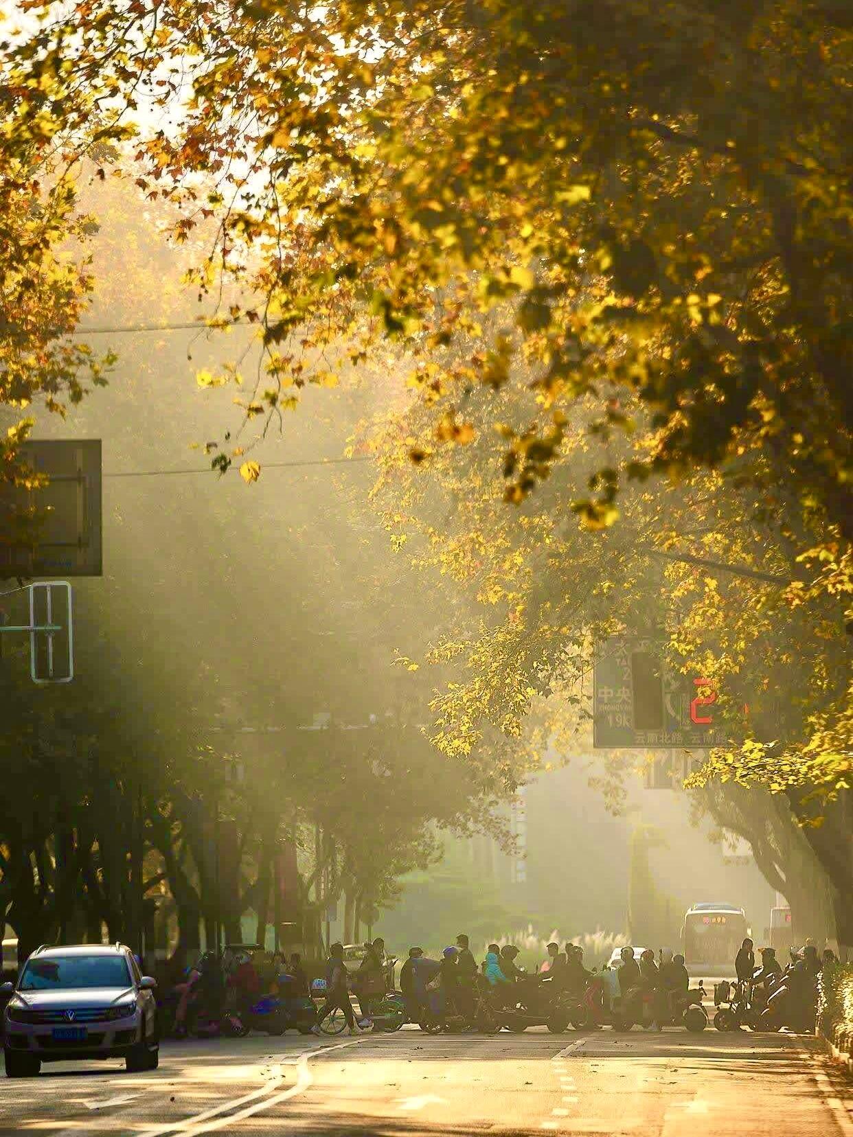 "秋天若有十分美,九分在金陵" 真的没有一座城市,比南京更懂秋天