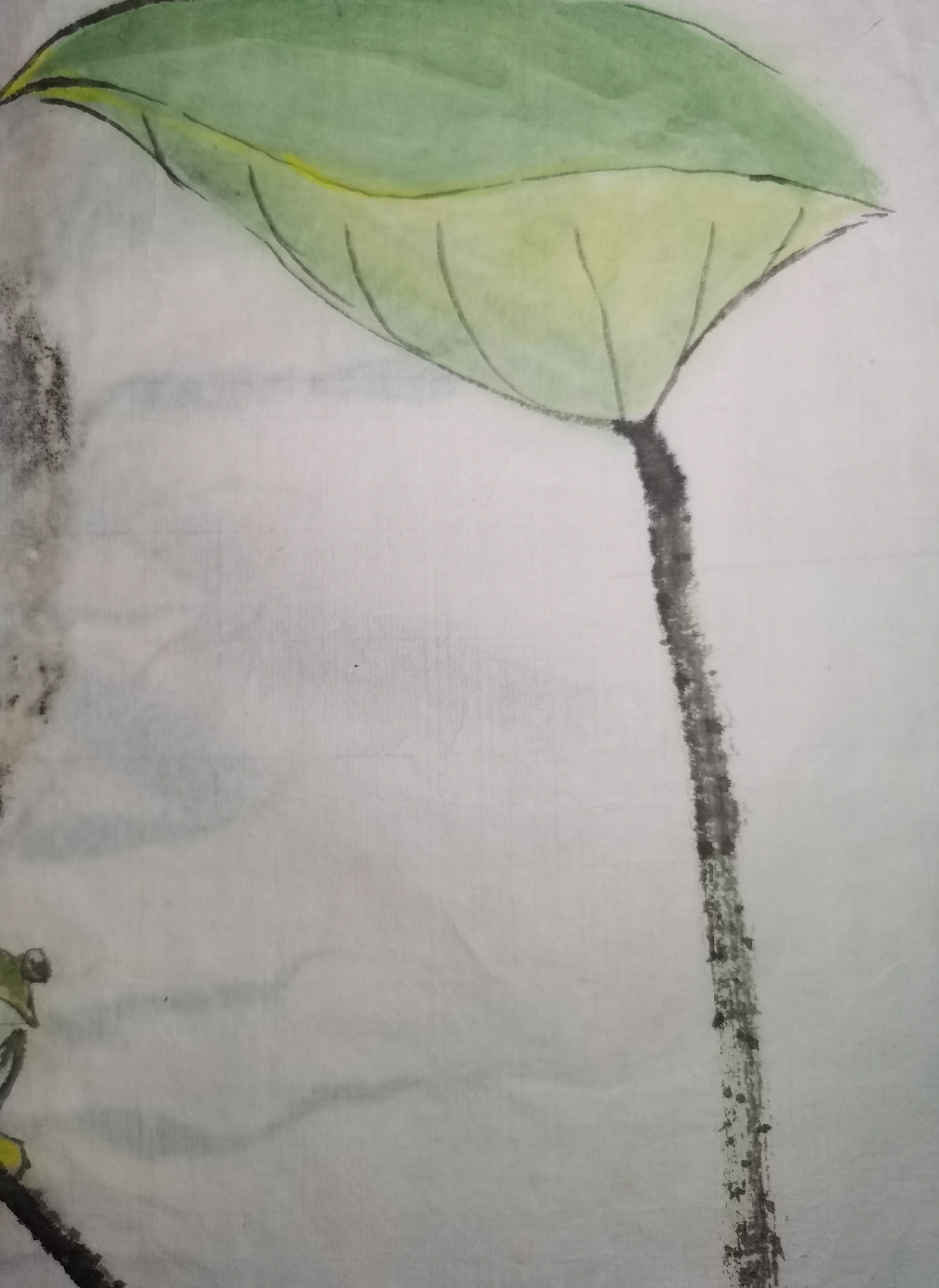 青蛙跃上荷叶,溅起一池夏梦. 水墨画画中诗国画水墨之韵#画画交流组