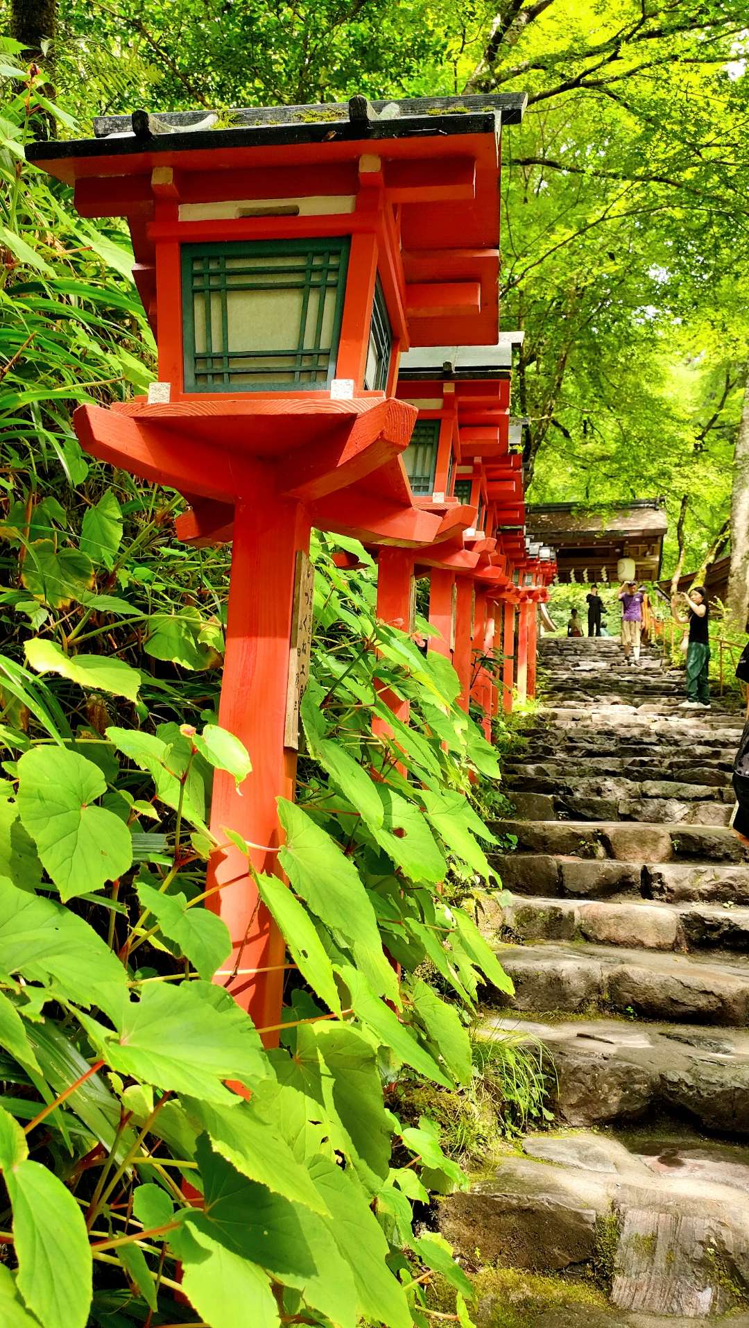 体验了贵船神社最有特色的水占卜神签,200日元求一张签纸,放到御神水