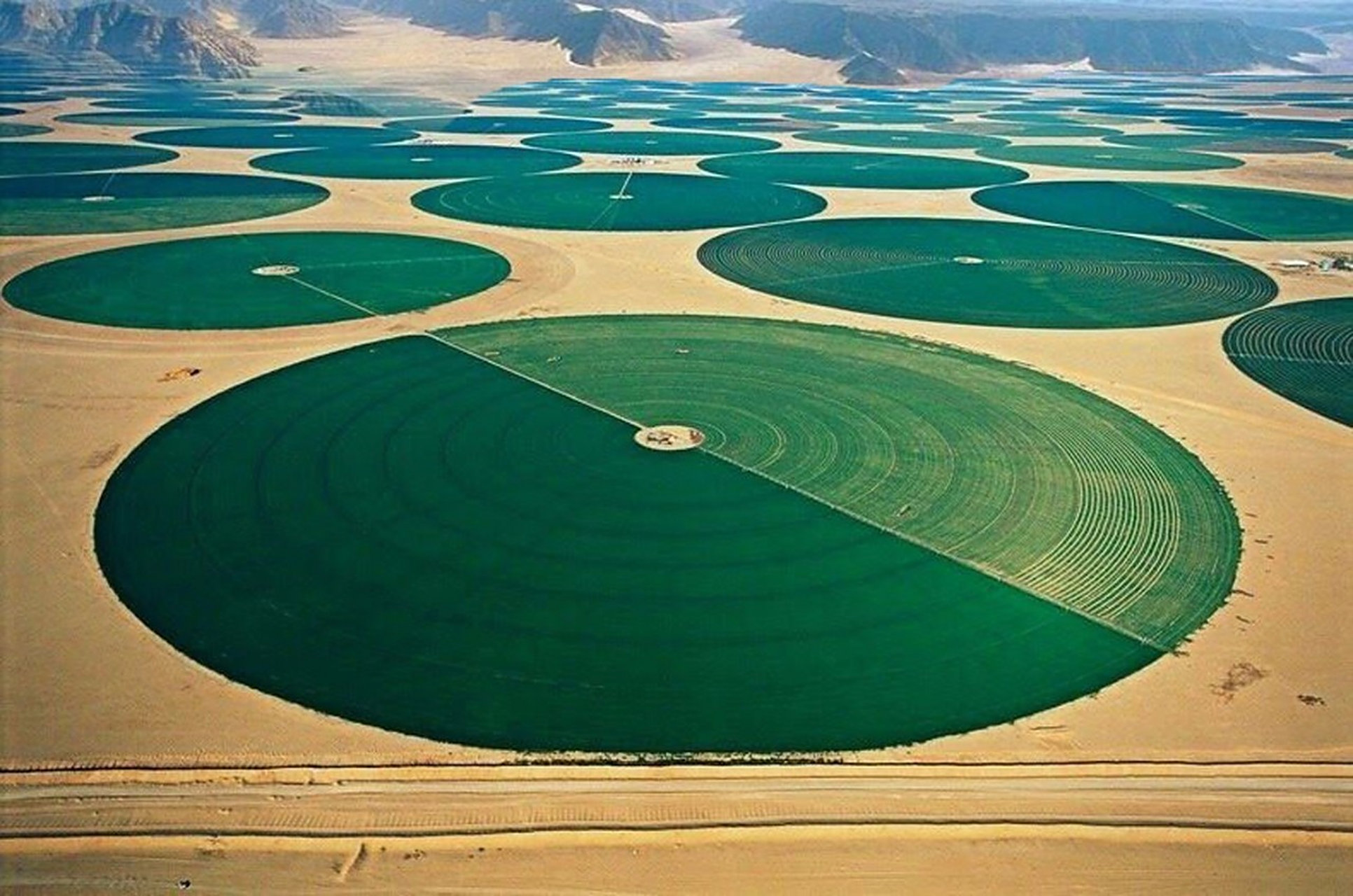 这张图直观体现了巴勒斯坦各以色列的农业发展情况.