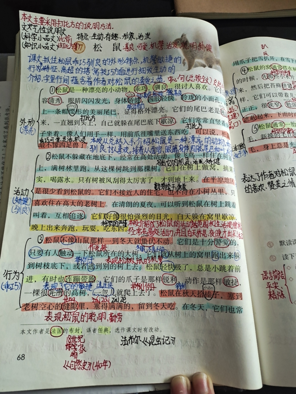 五年级上册语文《松鼠》笔记