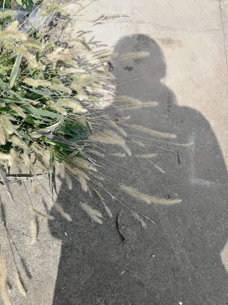 蹲下来摸摸自己的影子, 对不起,跟着我让你受委屈了