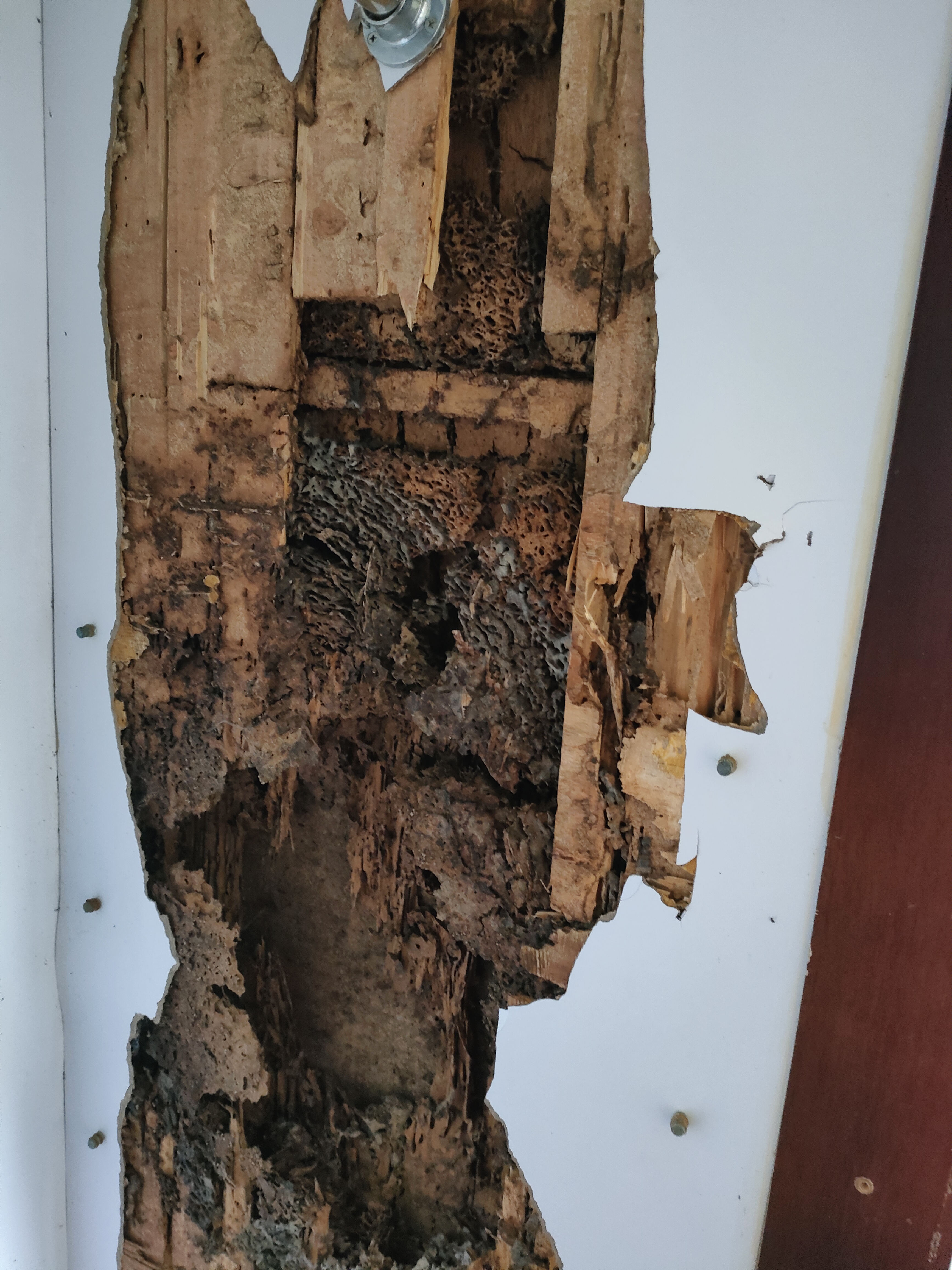 家住深圳观澜湖张先生,因长年出差很少回来住,最近