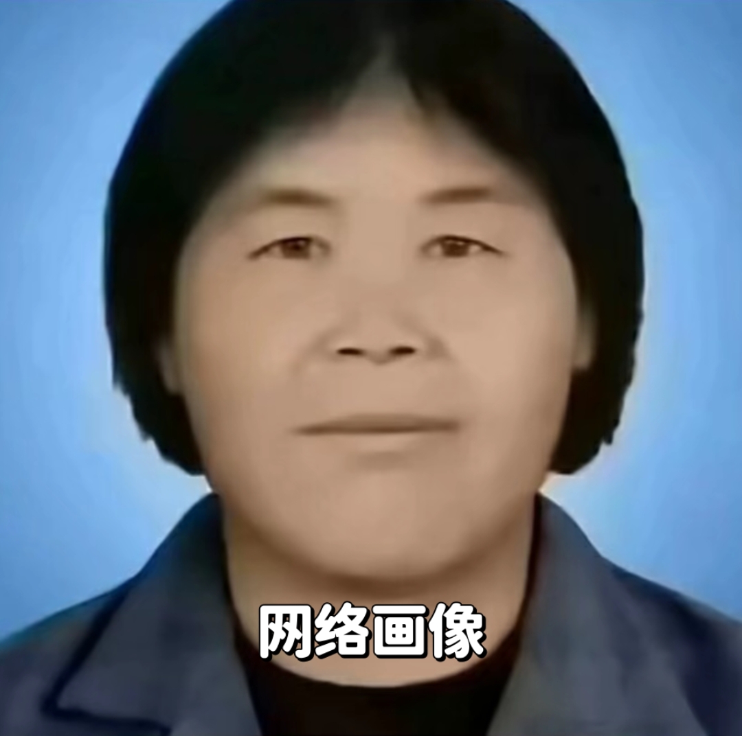"梅姨" 基本信息: 中文名:梅姨 别名:潘冬梅(具体姓名不详) 国籍:中国