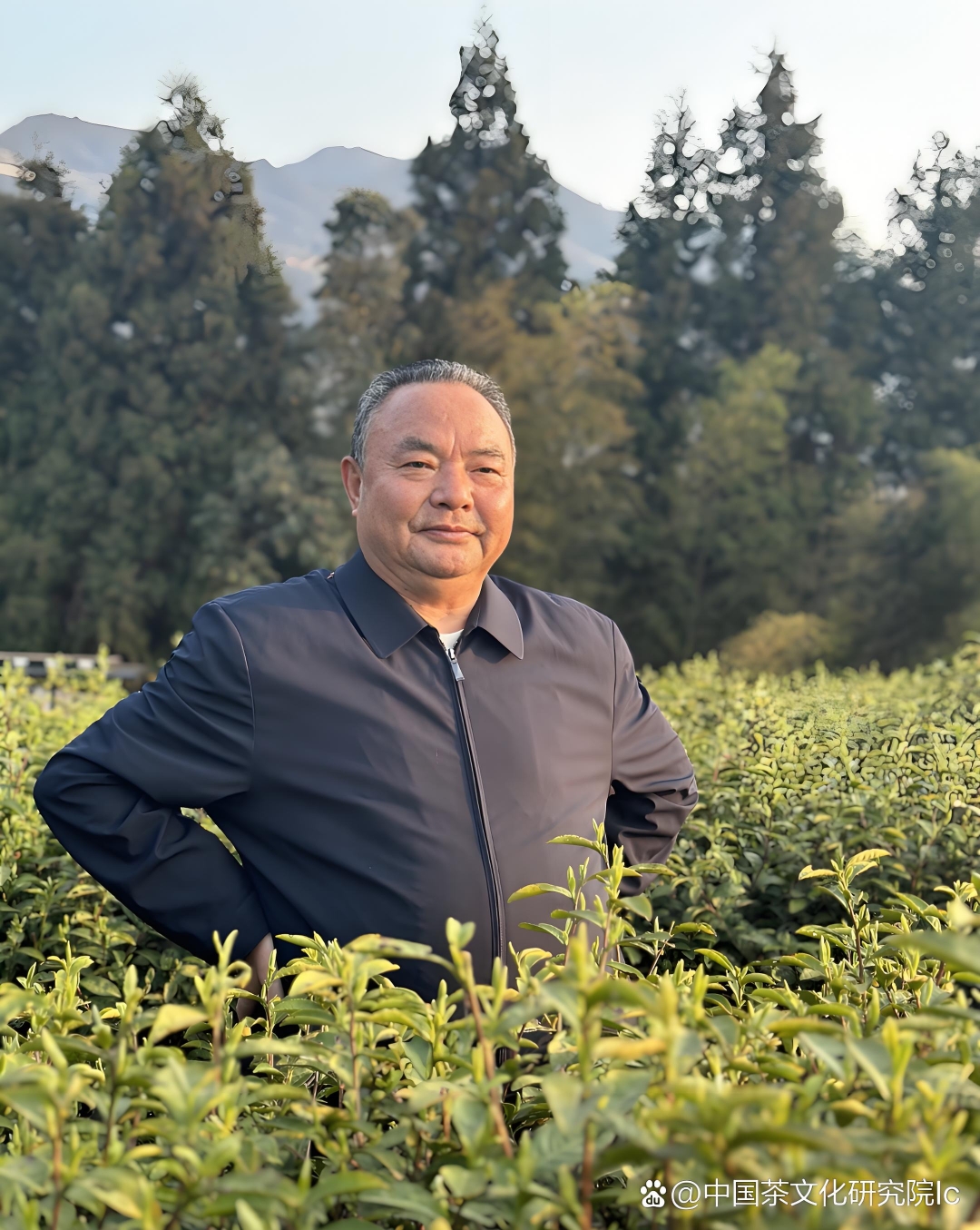 新化茶区风景秀,古韵悠悠多长寿; 自古高山云雾中,泉水孕茶渠江头!