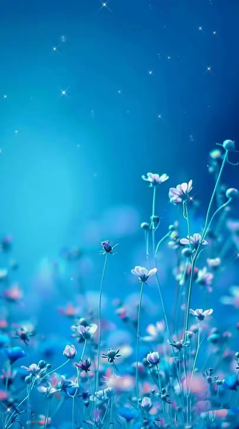 熬夜刷手机首选!柔和蓝色壁纸,暗光环境也护眼