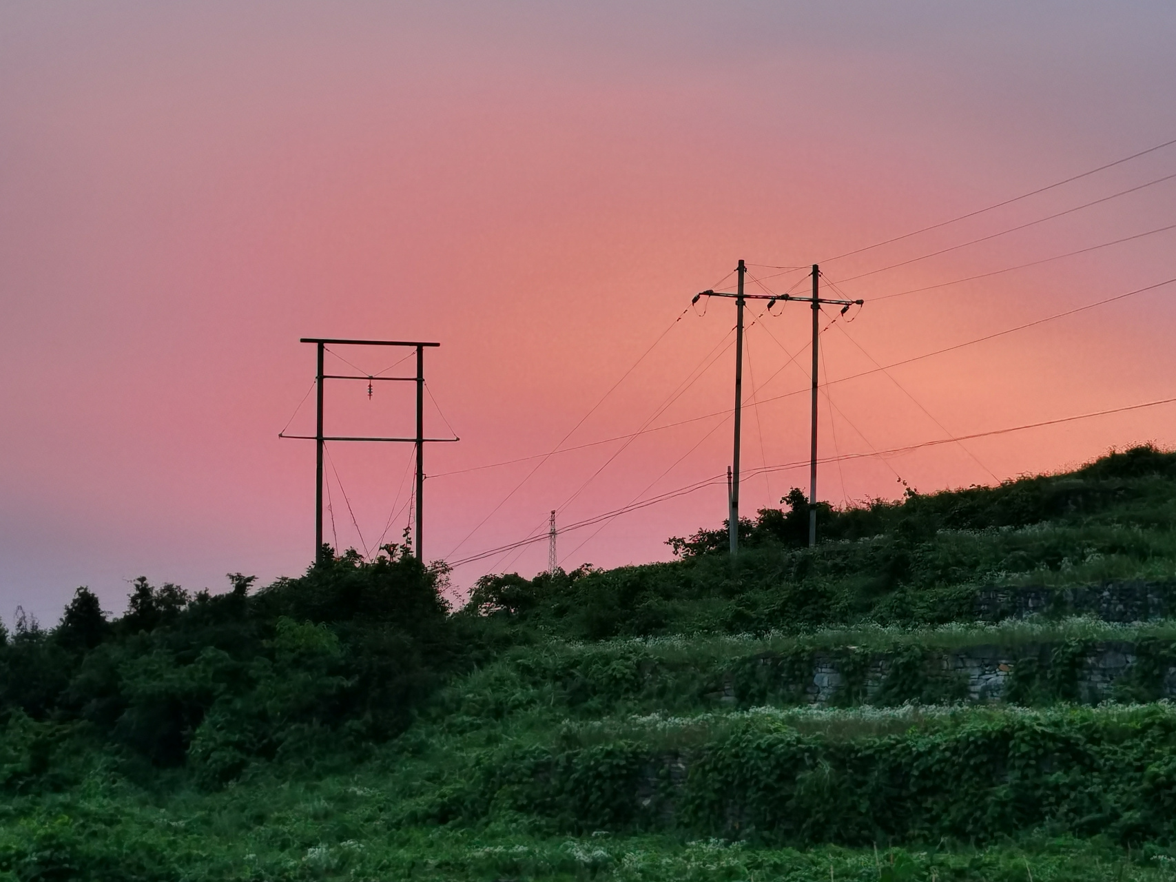 伏天美景 中伏凉风送爽,傍晚西泛红光. 嫦娥早露笑脸,景美人间天上.