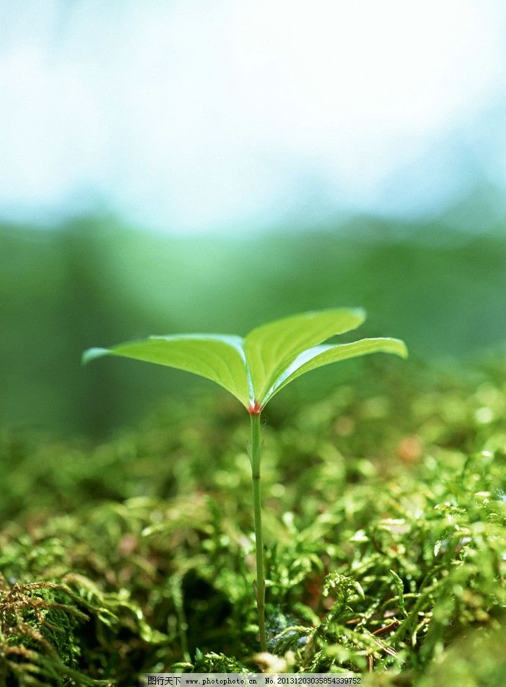 这张图片上的文本表达了一种坚韧不屈,无欲无求的人生态度.