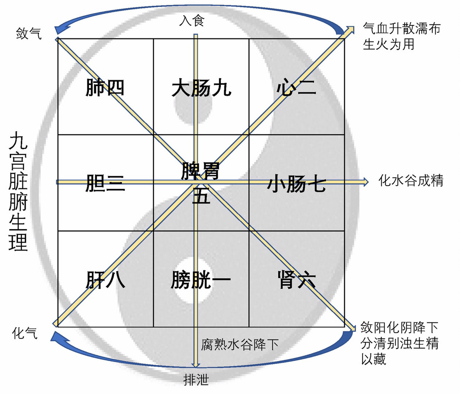 九宫脏腑生理