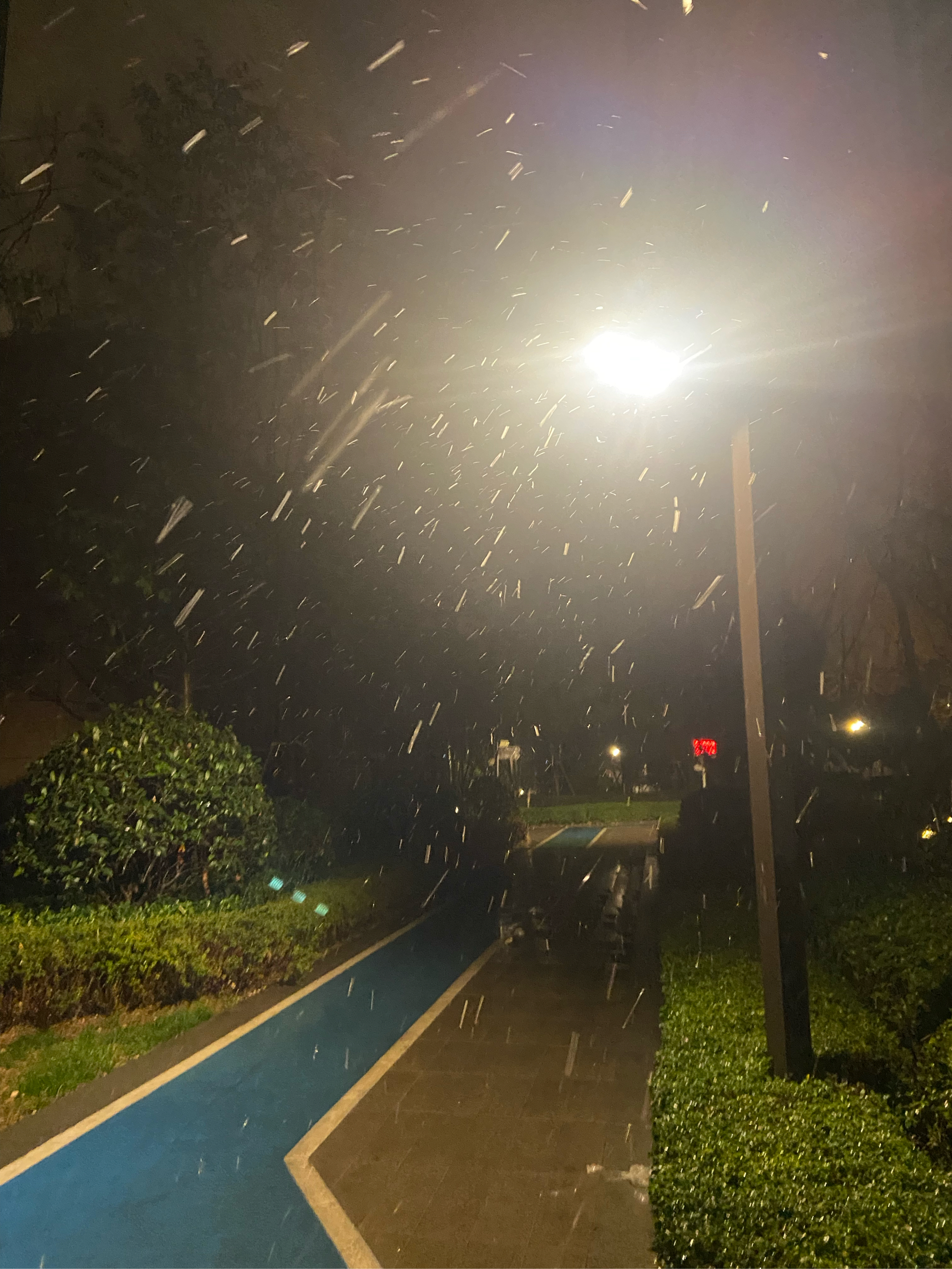 雨夜的奇妙体验  晚上