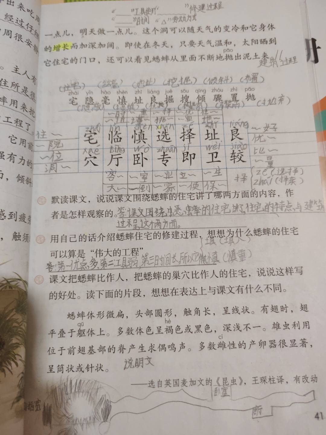 蟋蟀的住宅生字部首图片