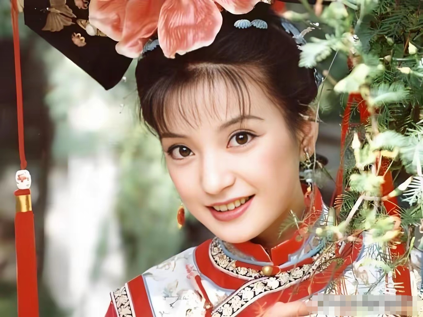赵薇这"小燕子",人生可比电视剧离谱多了!