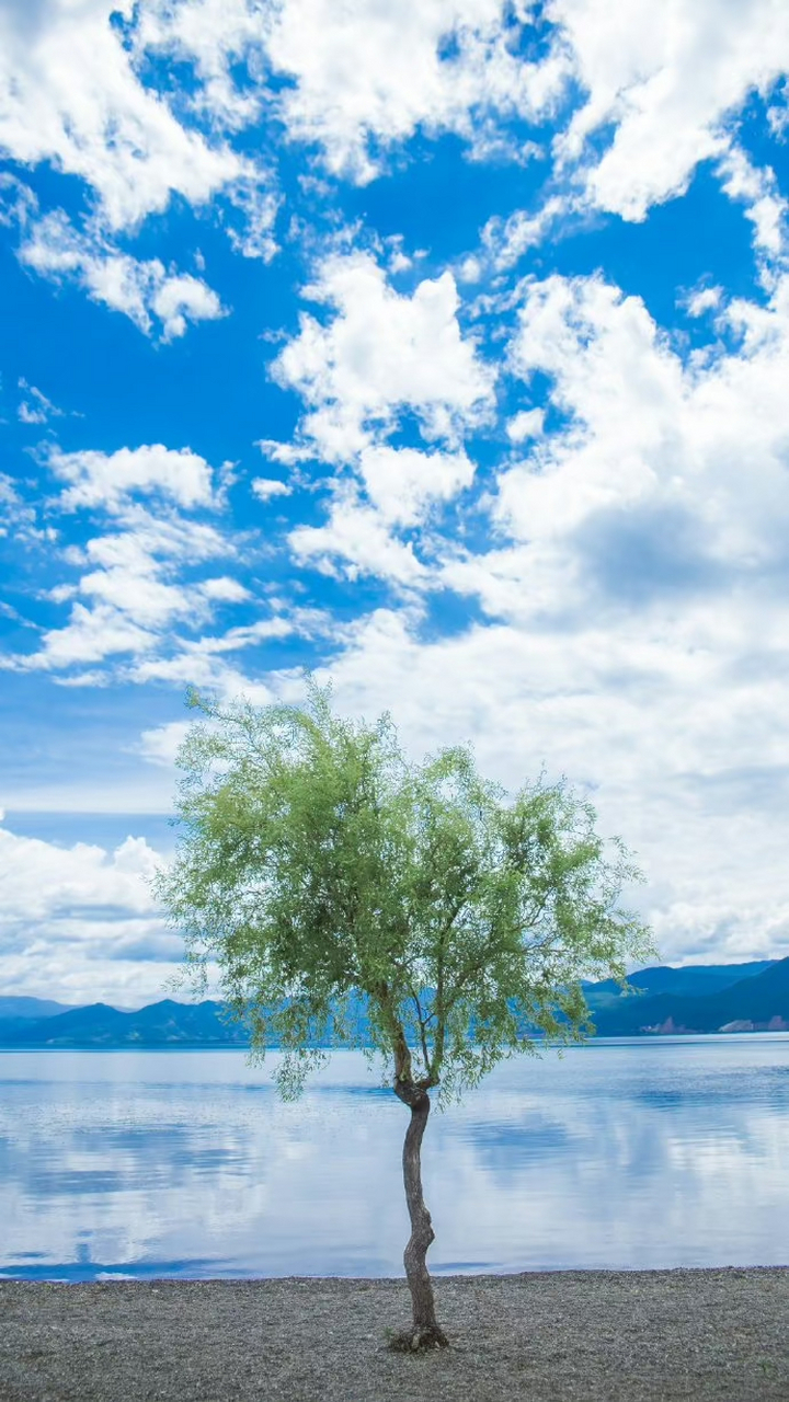 5点20,慢跑6圈.左脚掌还是疼.