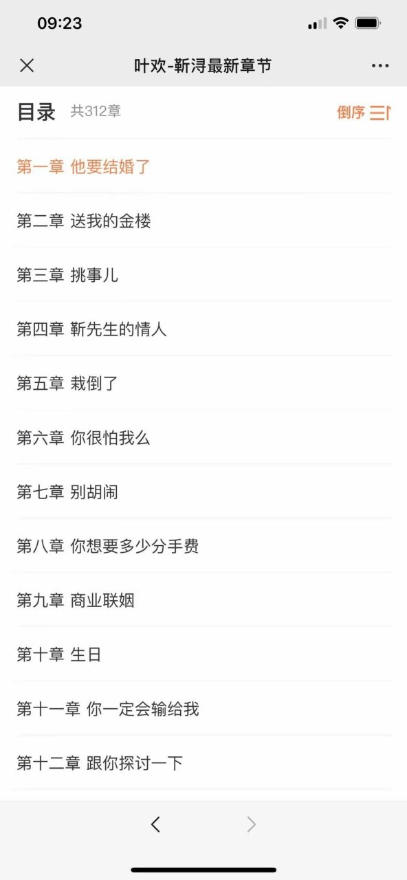 叶欢的小说叫什么名字