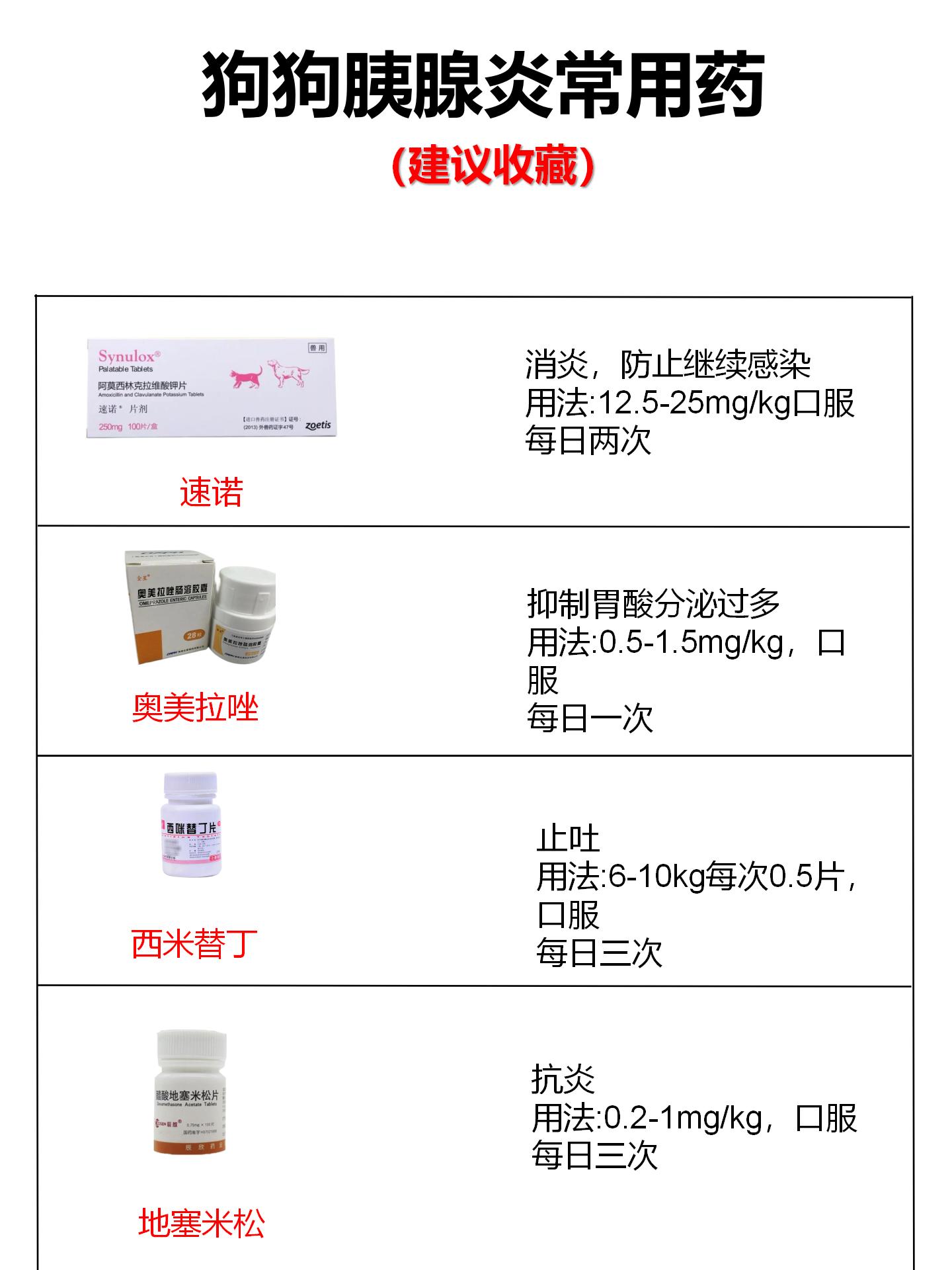 狗狗胰腺炎不复发的秘诀——用92篇  91速诺 消炎,防止继续感染