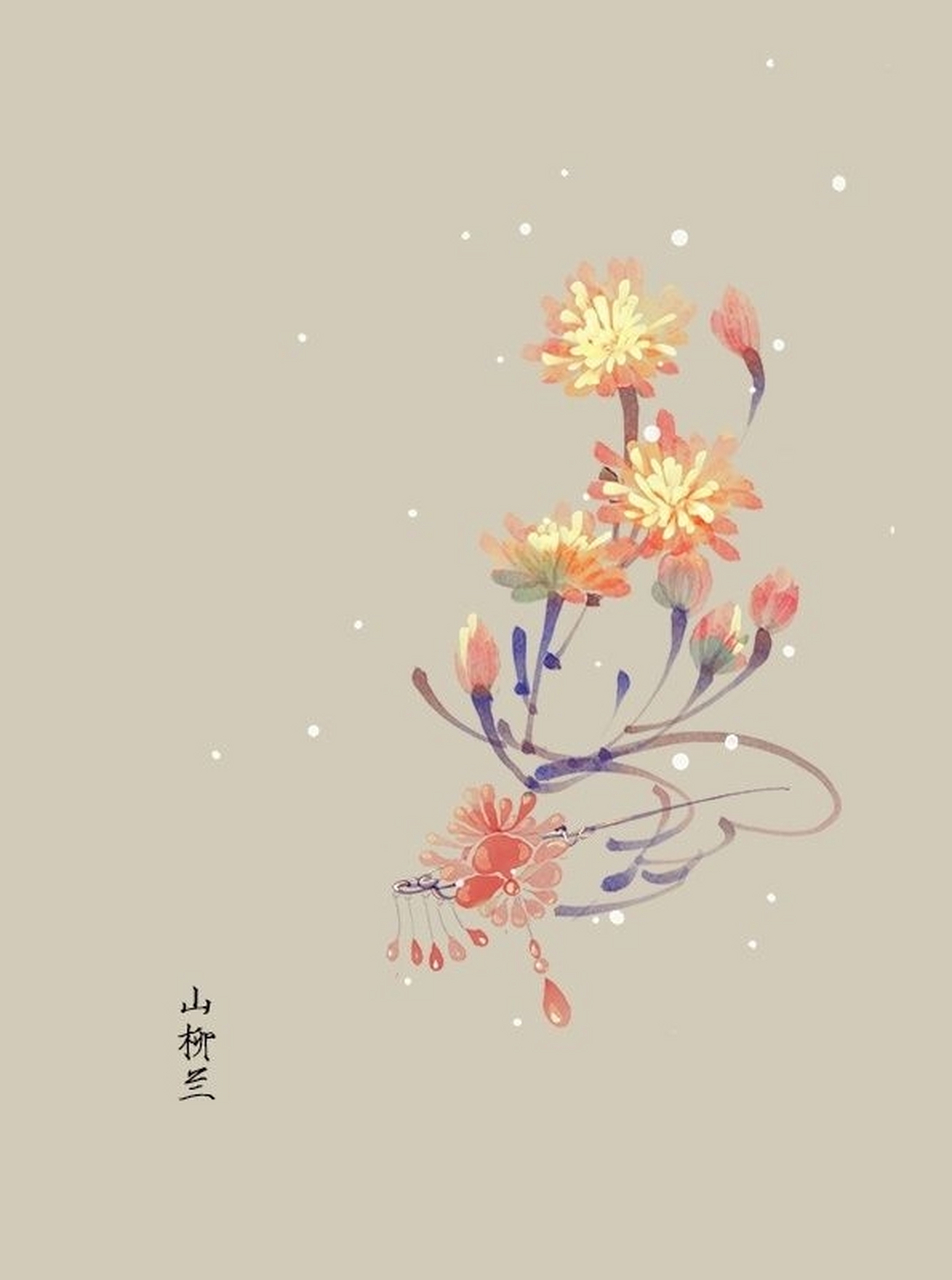 山柳兰花语:野心和智慧