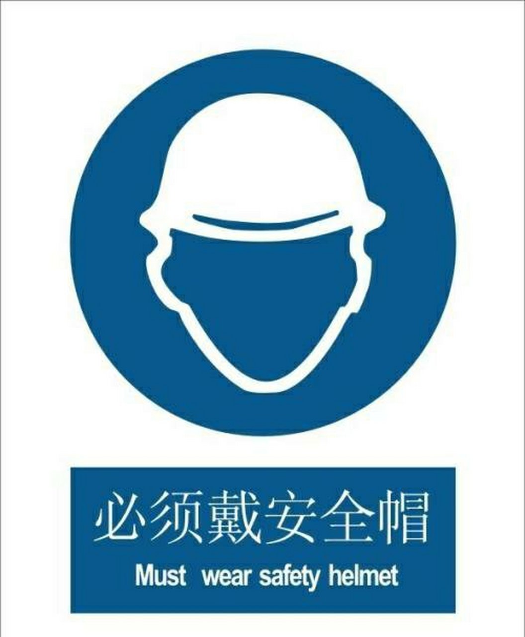 "三哥说常识"现代安全帽的发明是受到了什么动物的启发?