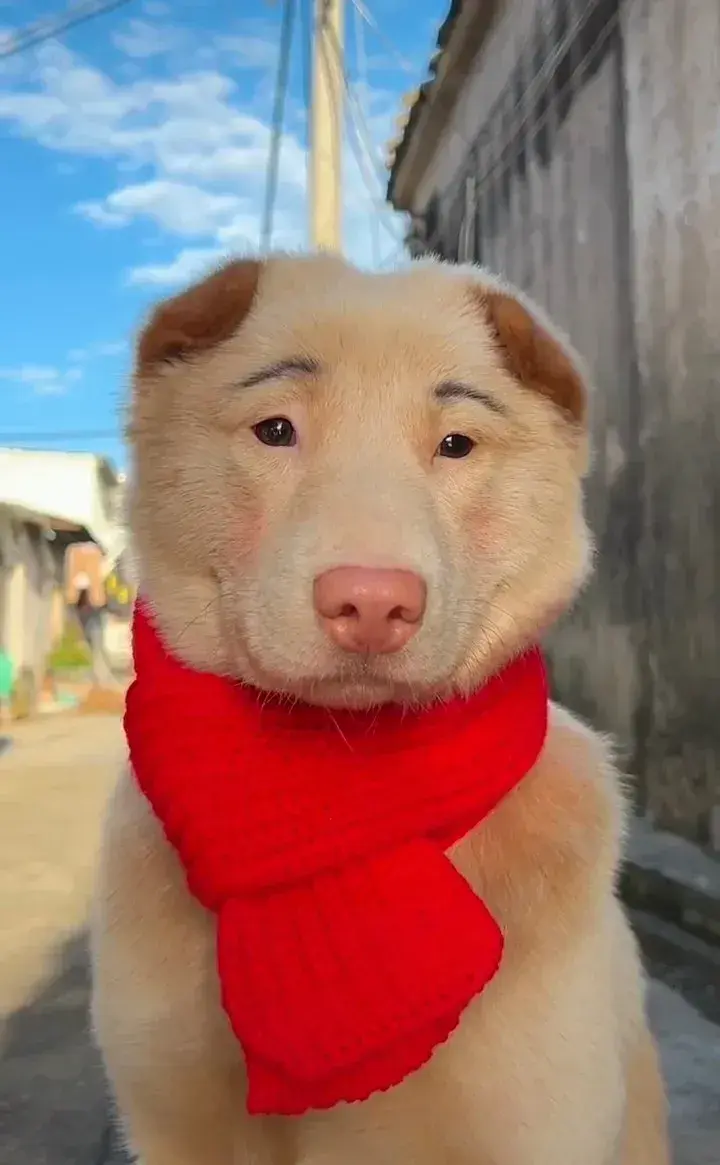 孩他爸真是个奇葩! 张口惊人啊!